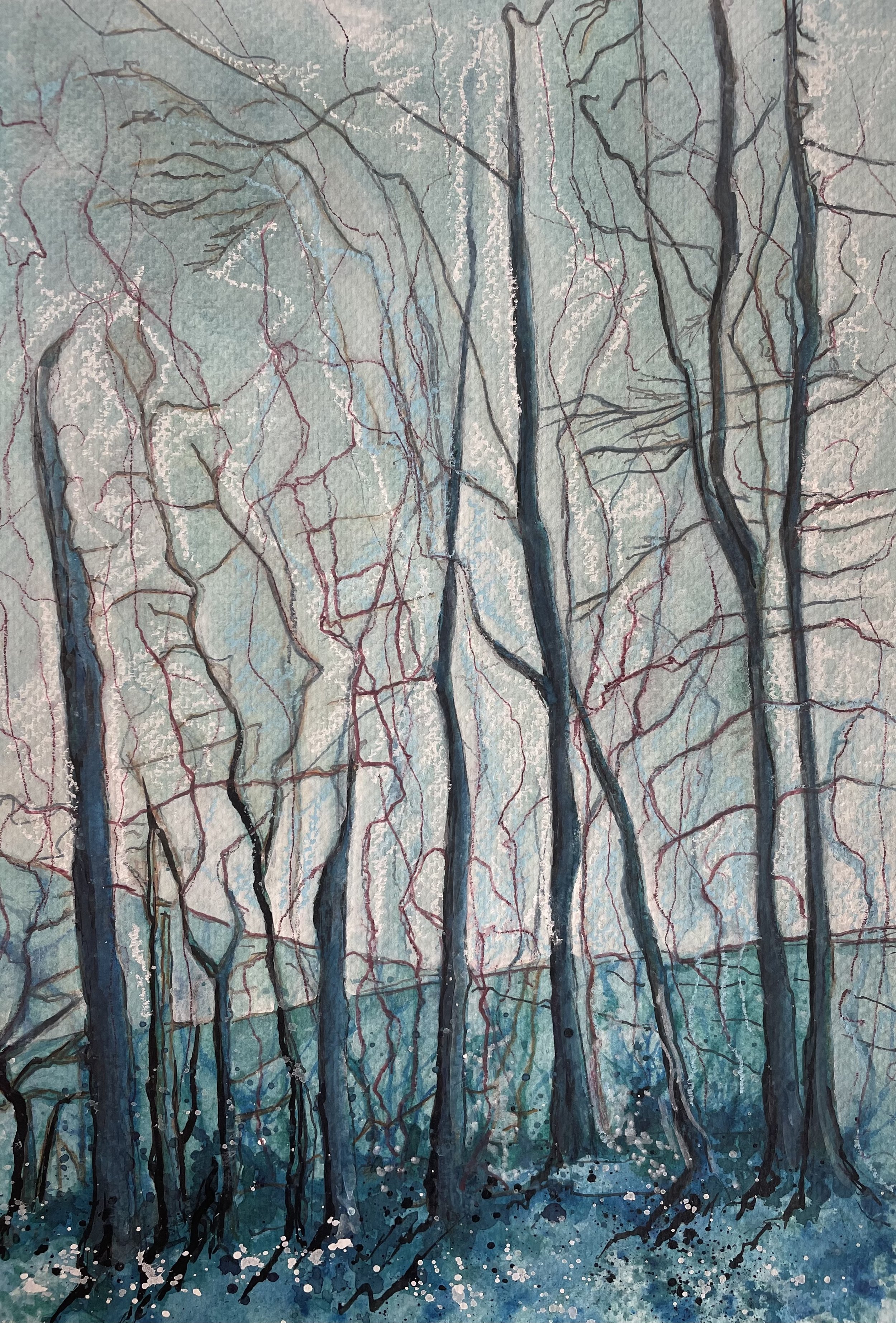 Trees at Skiddaw