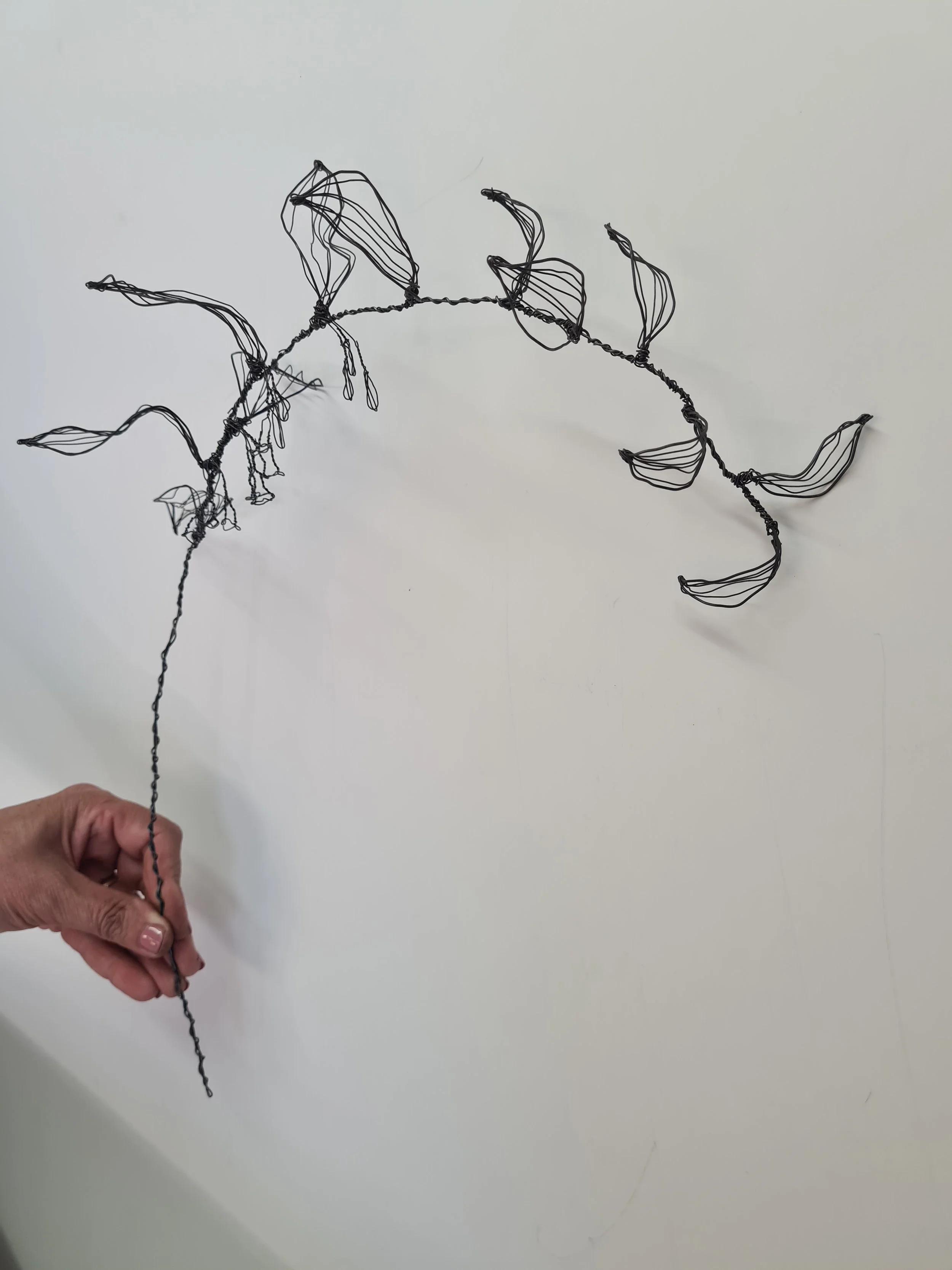 Drawing with Wire - 24th January 2026