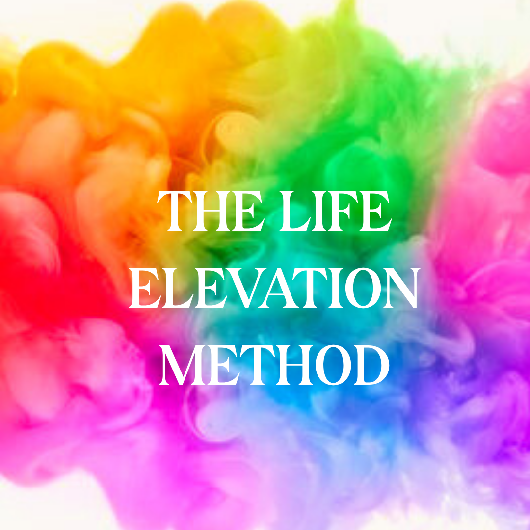 The Life Elevation Method - VIP 1:1 Add-On (Payment Plan)