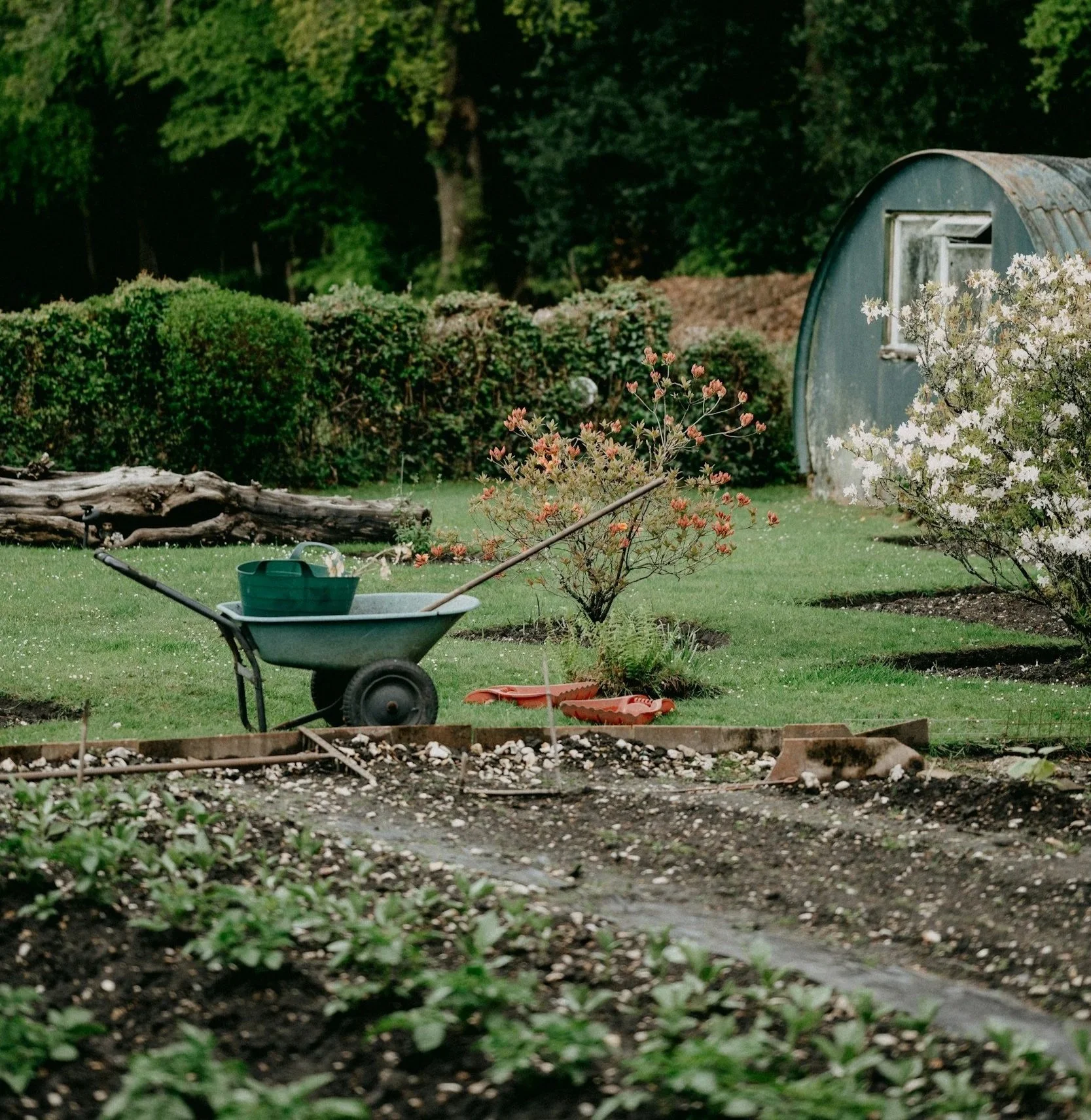 Wise Livelihood – Aligning Work, Needs, and Purpose