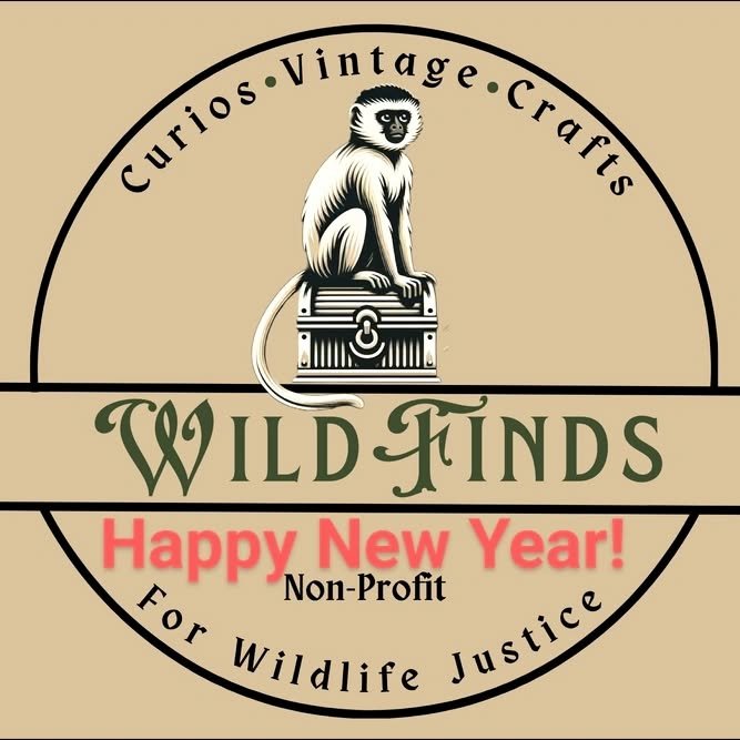 🎉✨ Happy New Year from all of us at WildFinds! 🐾

🛍️ Good news: We&rsquo;ll be open this weekend as usual, so stop by and start your year with purpose and style!

Here&rsquo;s to a wild and wonderful year ahead! 🥂🐅

📍 Visit us in Easton, MA
🕒 