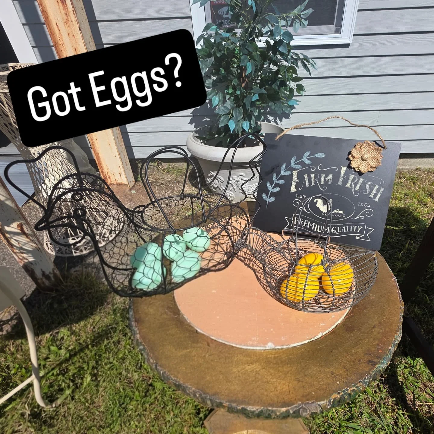 🐓✨ Farmhouse charm, anyone? ✨🐓

These vintage-style chicken wire baskets are perfect for holding eggs, fruits, or simply adding a rustic touch to your kitchen or garden table. Paired with our &ldquo;Farm Fresh&rdquo; premium quality sign, they brin