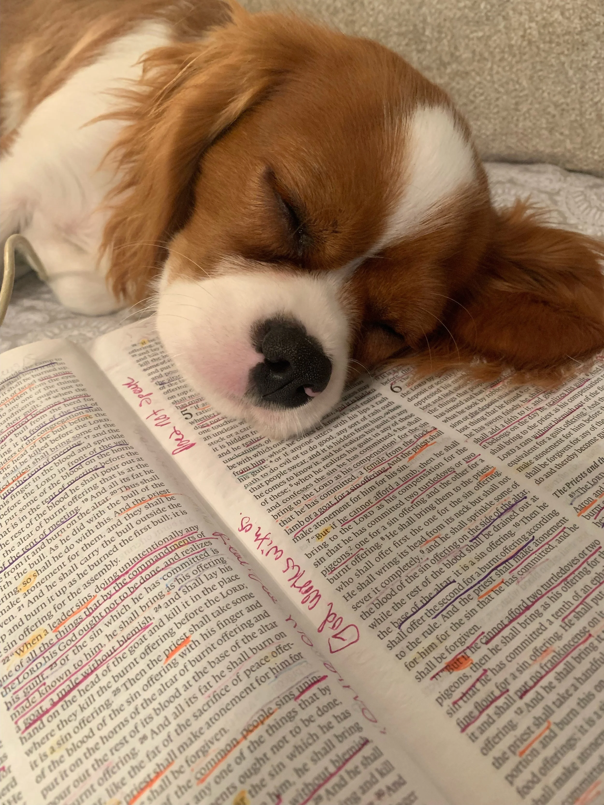 How to Start the New Year with Peace (Not Pressure)