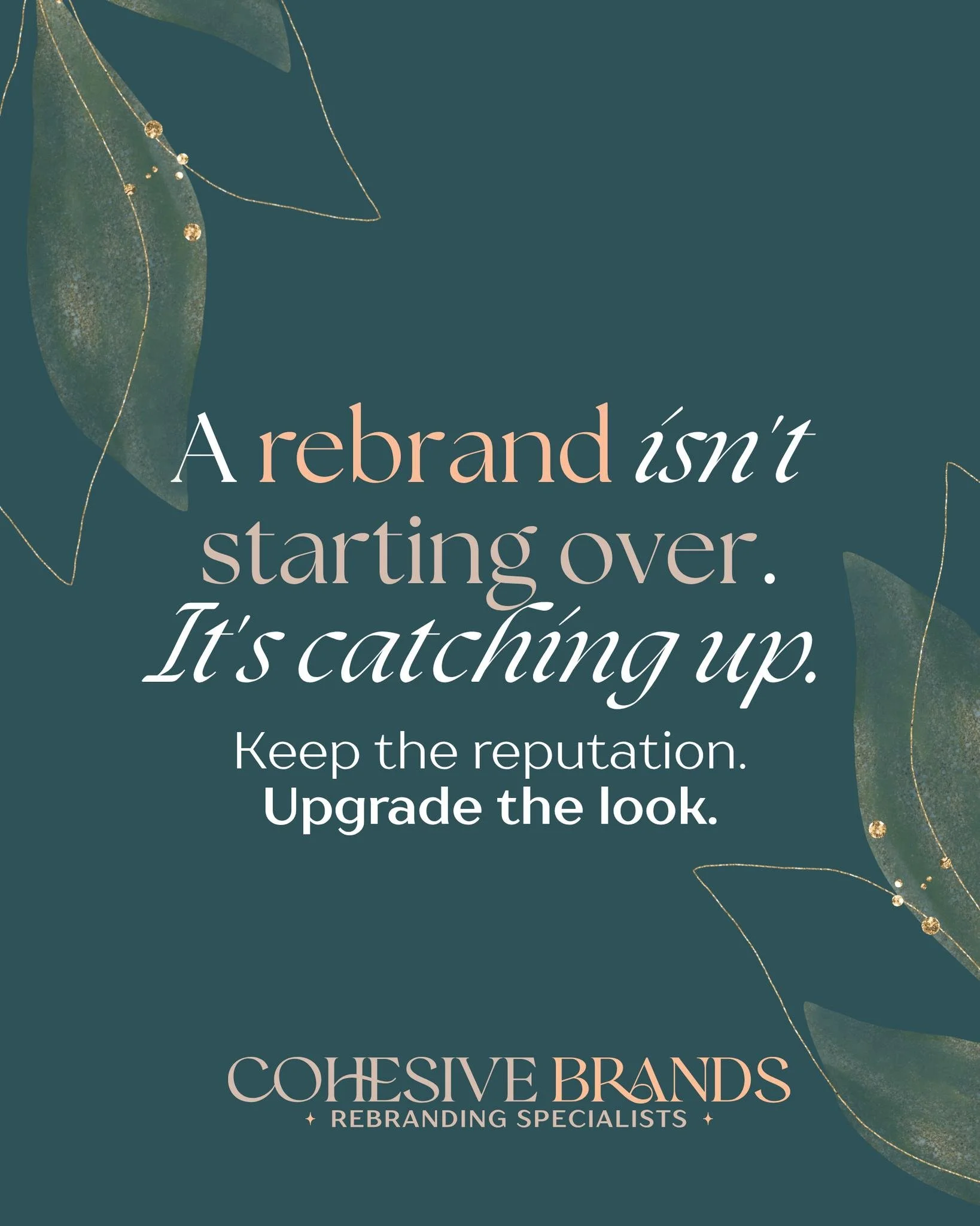 You've worked hard to get your business where it is - now allow us to help your brand reflect that. Our goal is to help you be proud of what you've built and not be embarrased to hand someone a business card or send them to the website your nephew bu