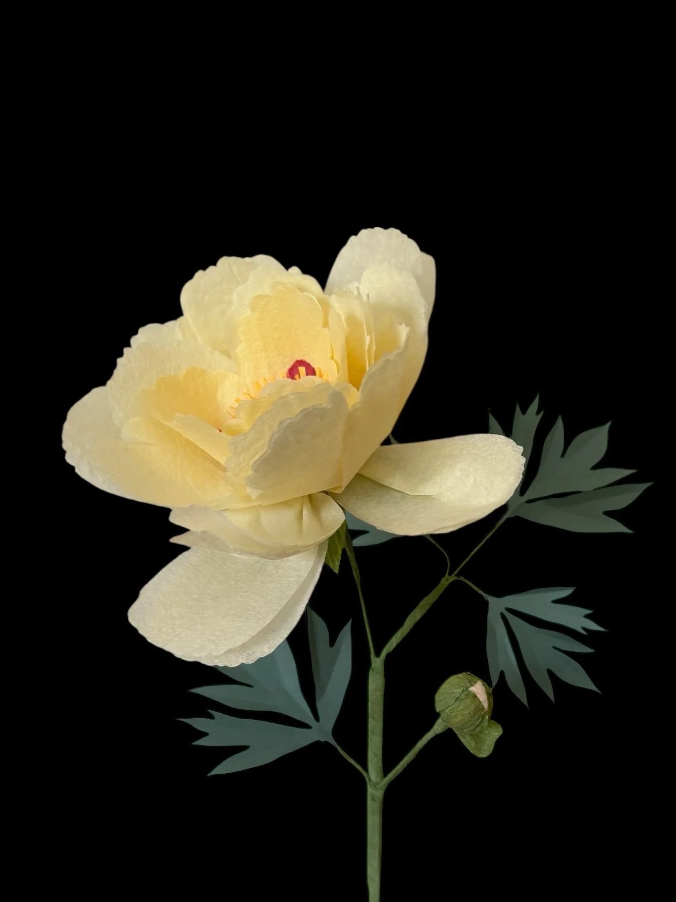 yellow+tree+peony.jpg