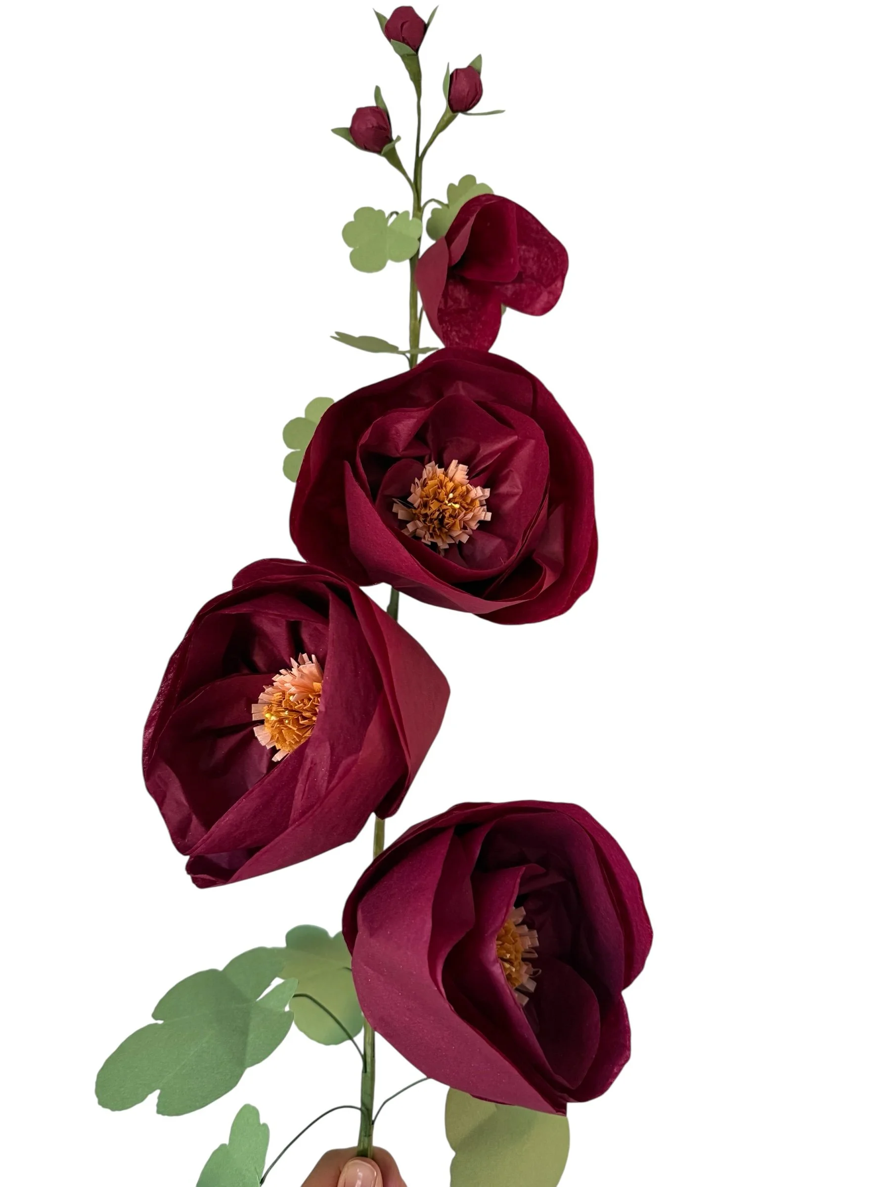 closeup burgusndy hh.jpg