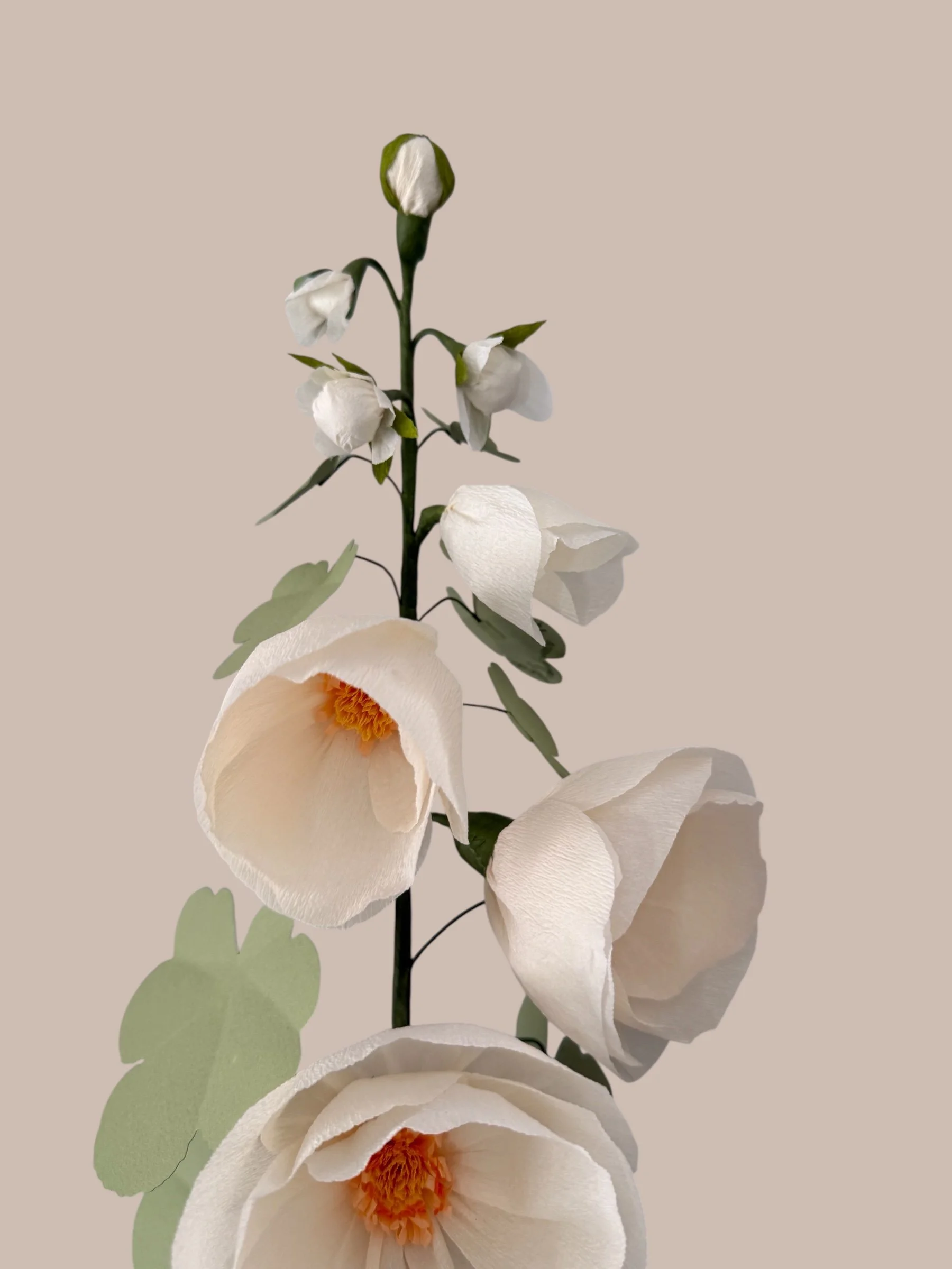 white hh closeup.jpg