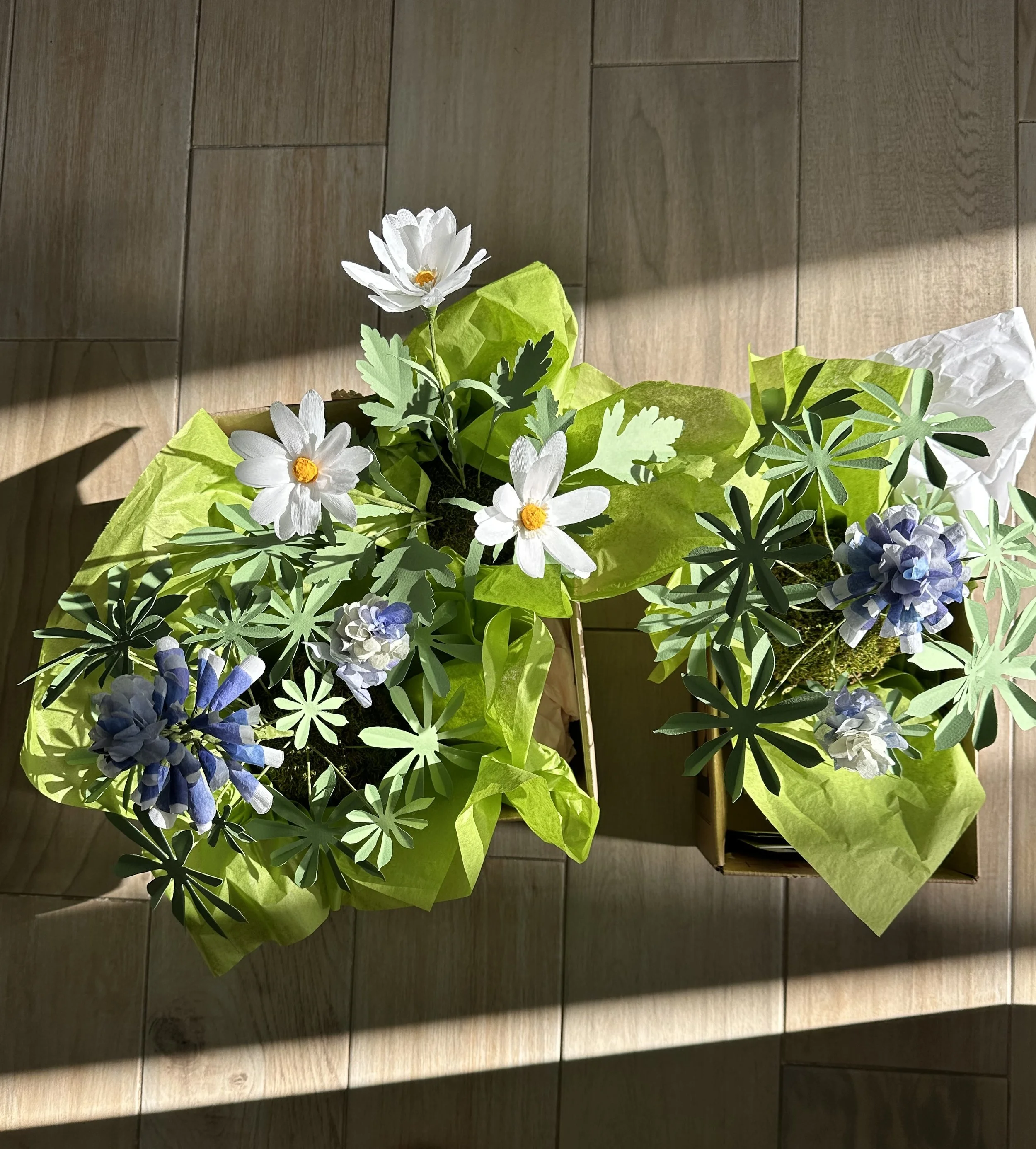 lupine and daisies.jpeg