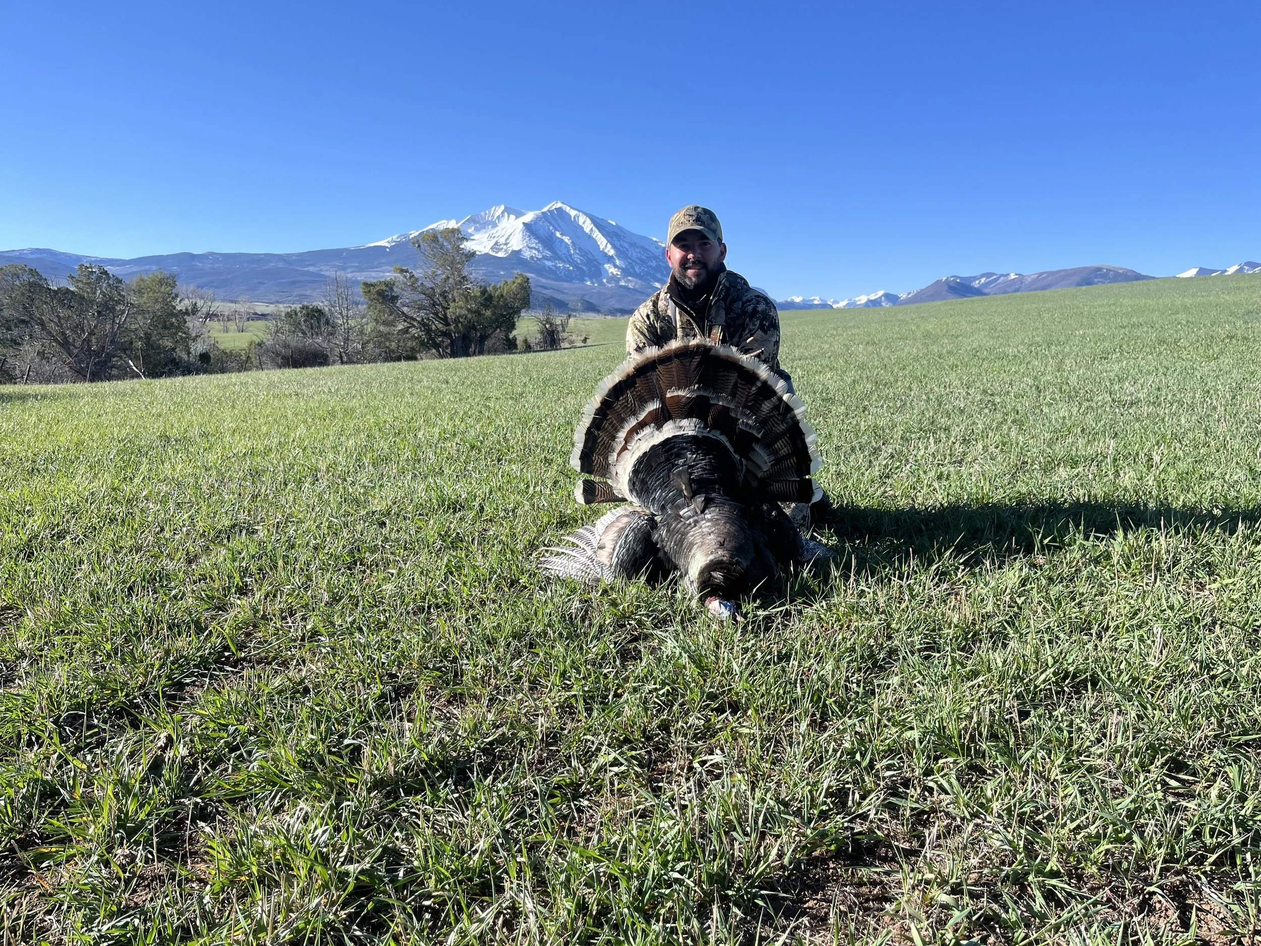 Top Turkey Sounds Every Hunter Should Learn for Spring Turkey Hunting (2025 Guide)