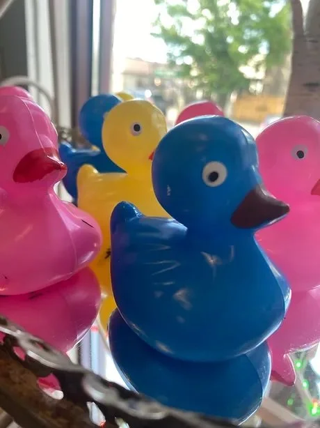 colorful rubber duckies
