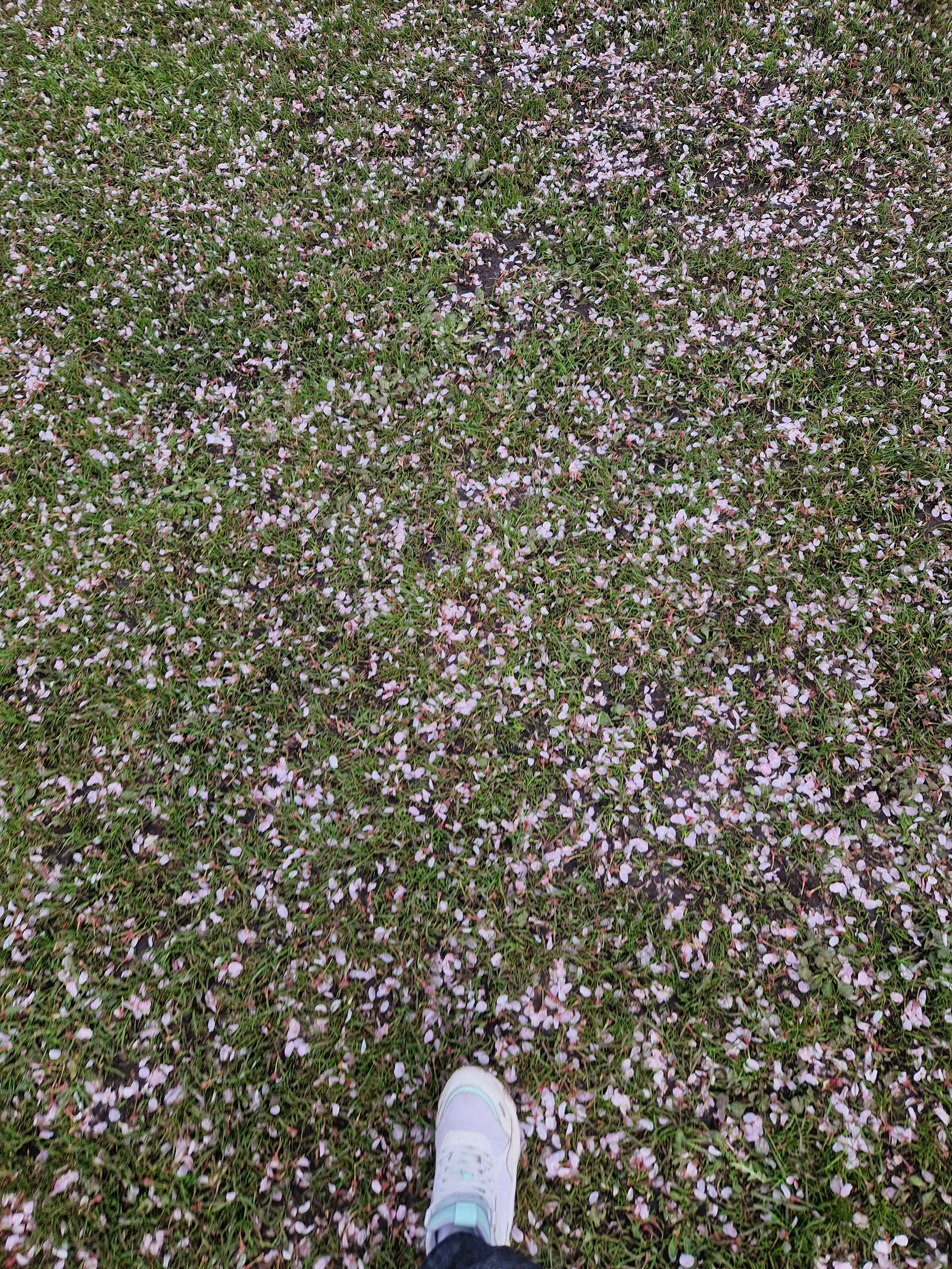 Move with the flow…of nature