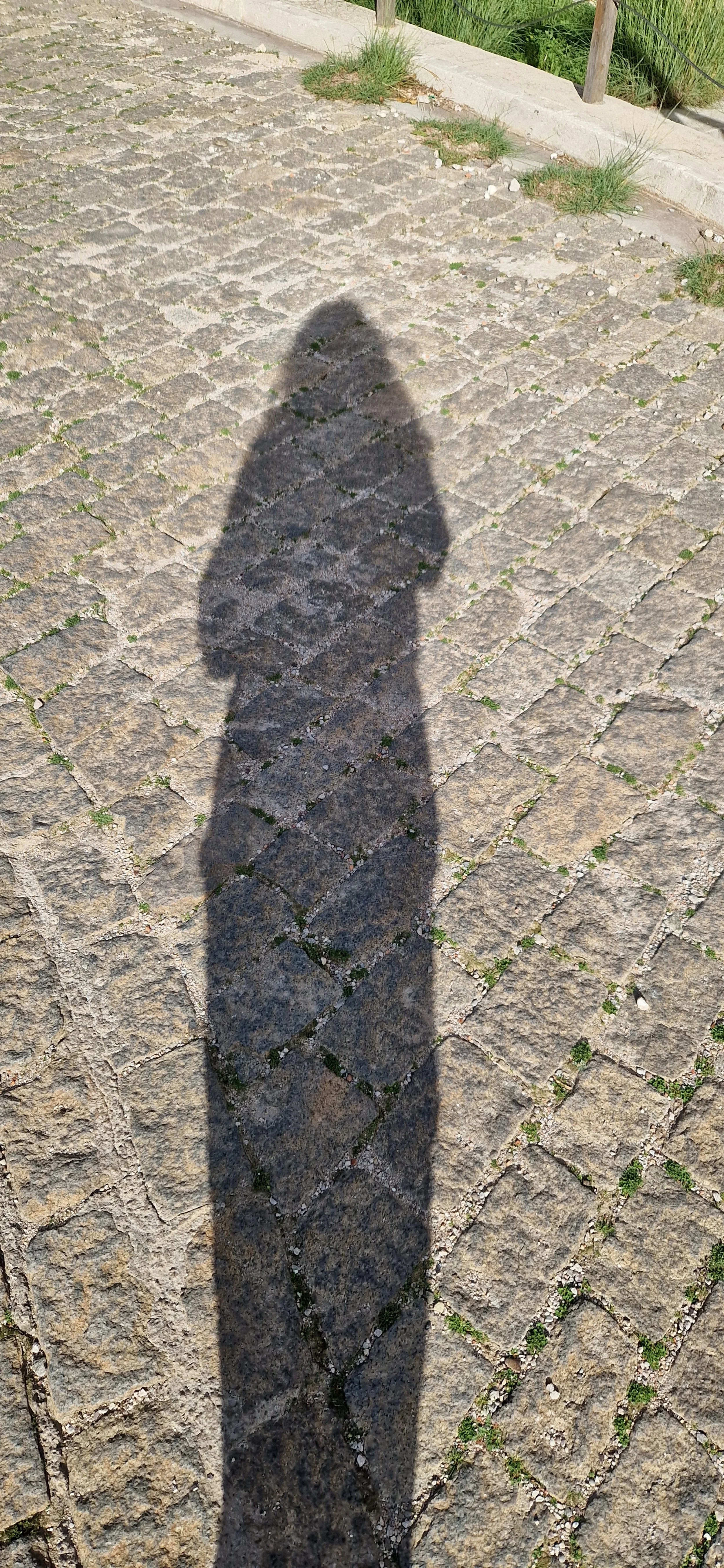 The shedding of the old, precursor of the new