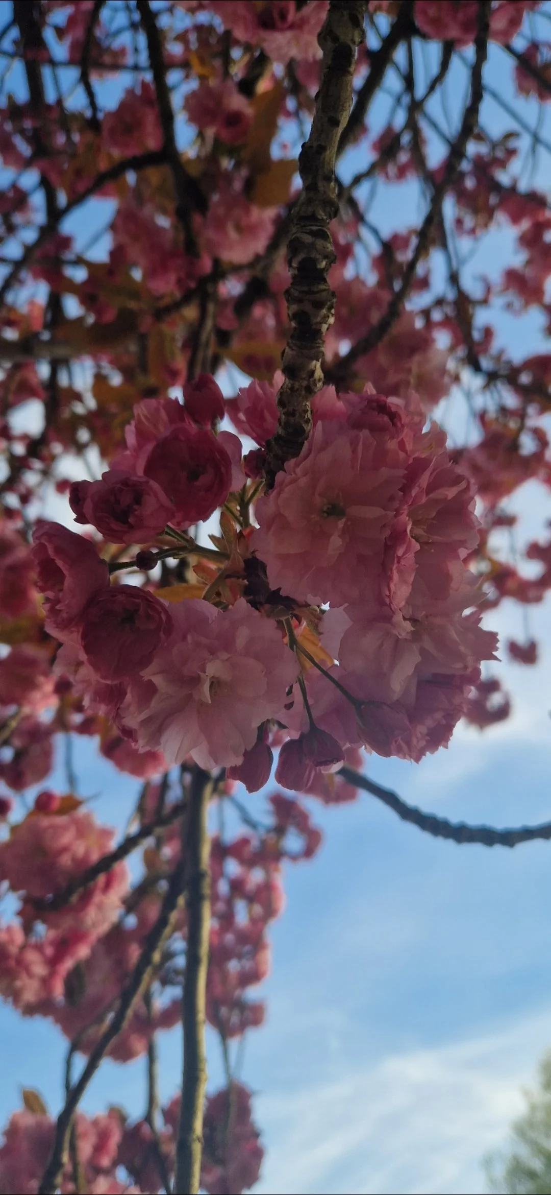 Restoring inner safety