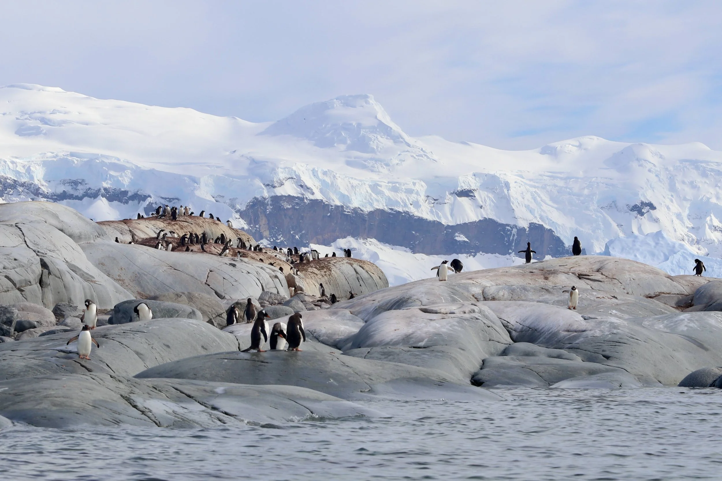 Antarctica  