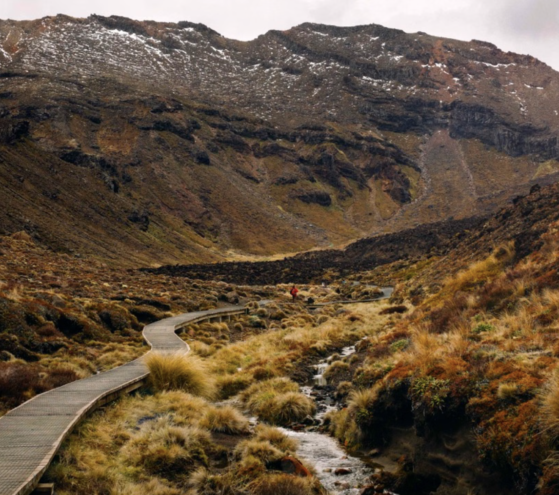 new zealand photo