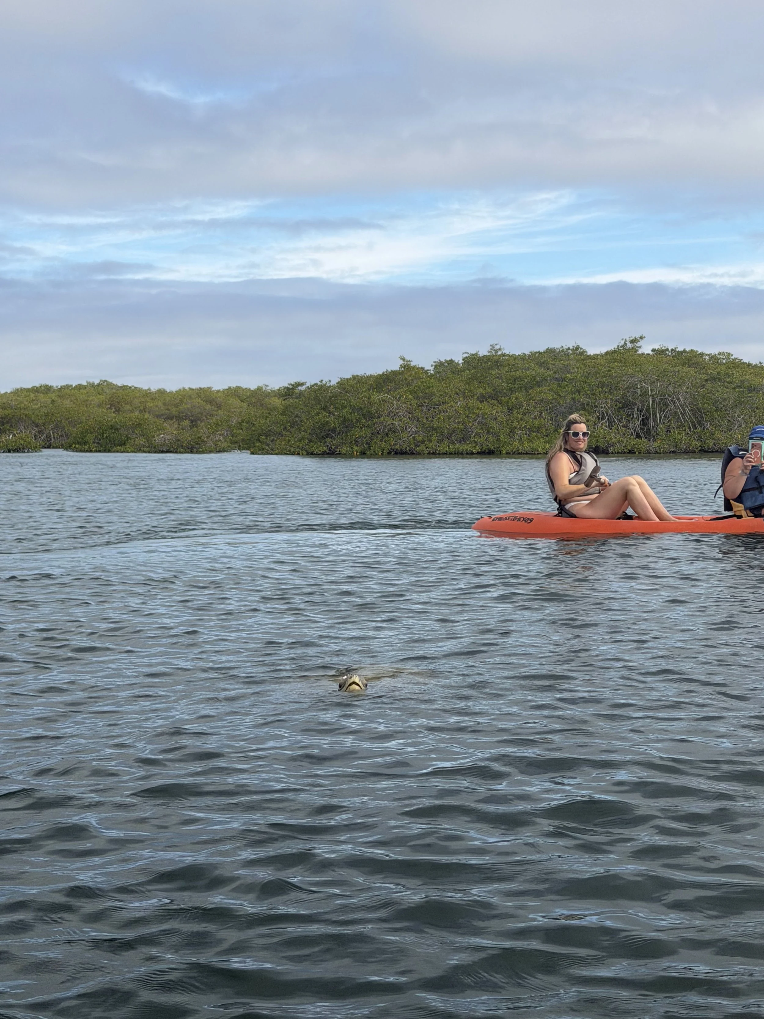 A woman sitting on a kayak in a body of water, wearing sunglasses, with greenery and a partly cloudy sky in the background.