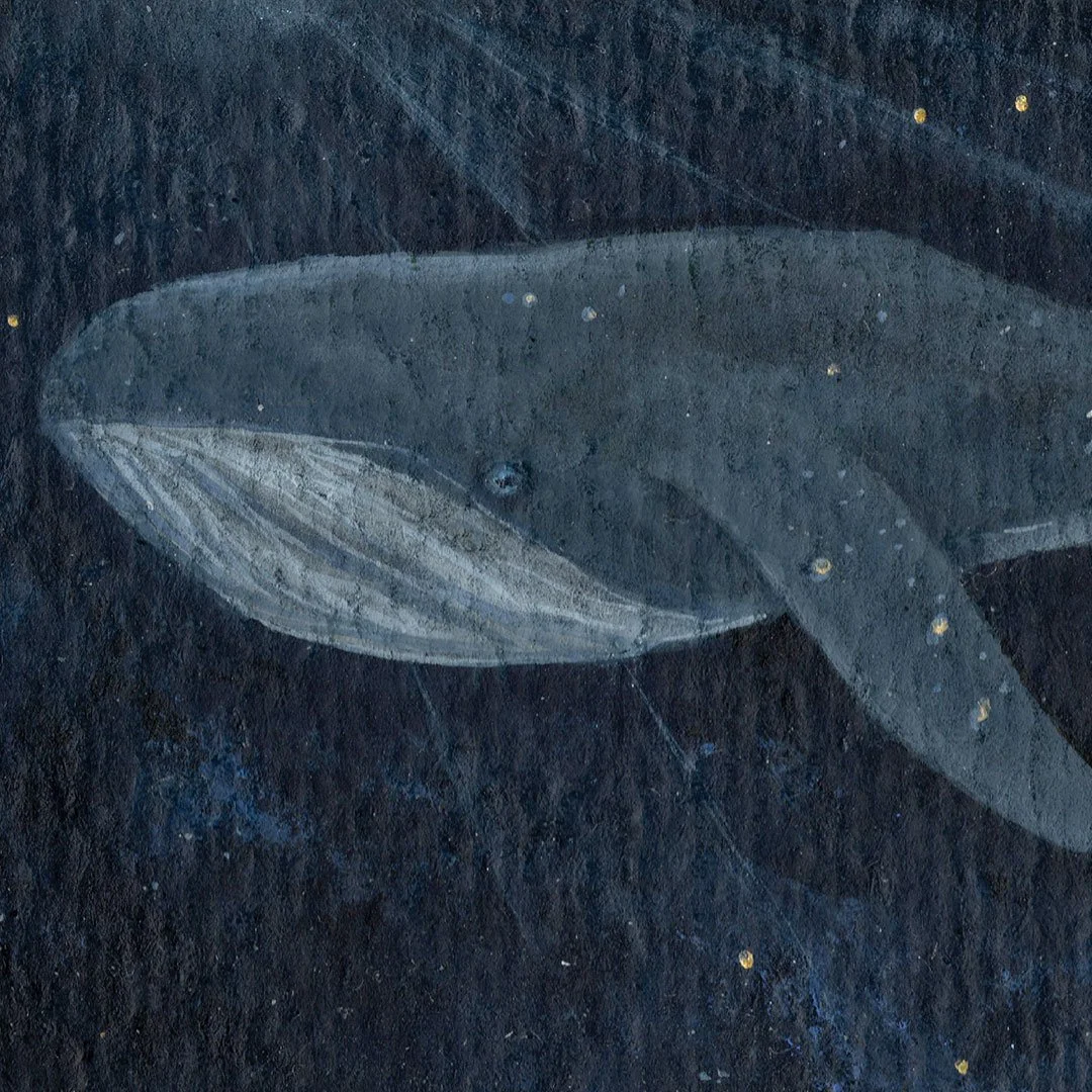whale-A5-print-for-website-v2.jpg