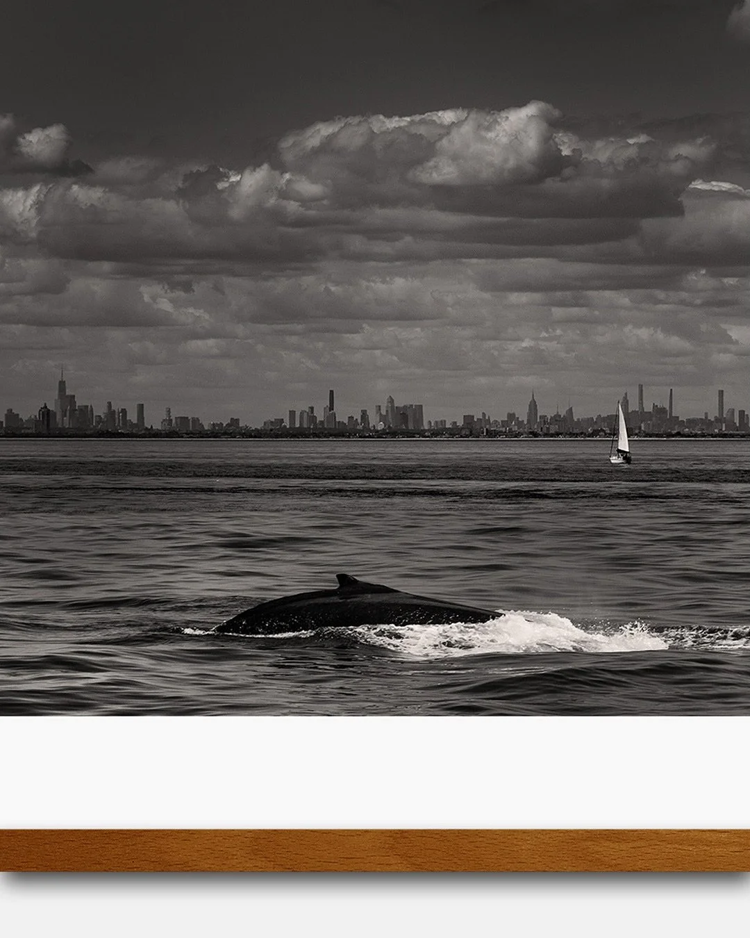 &ldquo;The distant New York City skyline, a solitary sailboat, a solitary whale breaking the surface all in one frame&hellip;&rdquo; Where the wild ocean meets the city. A limited-edition fine art photograph capturing the rare harmony between nature 