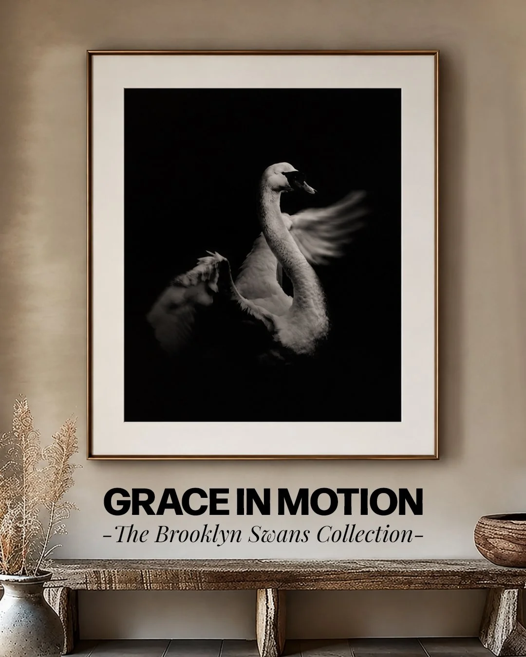 Grace in Motion. There is a quiet majesty in the way a swan moves, a fleeting moment between strength and fragility, presence and solitude.

Part of Brooklyn&rsquo;s Swans, this black-and-white photograph captures more than a bird. It captures a feel