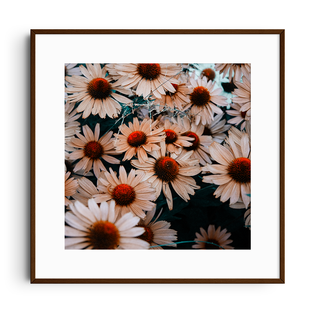 New York Fine Art Photography Limited Edition