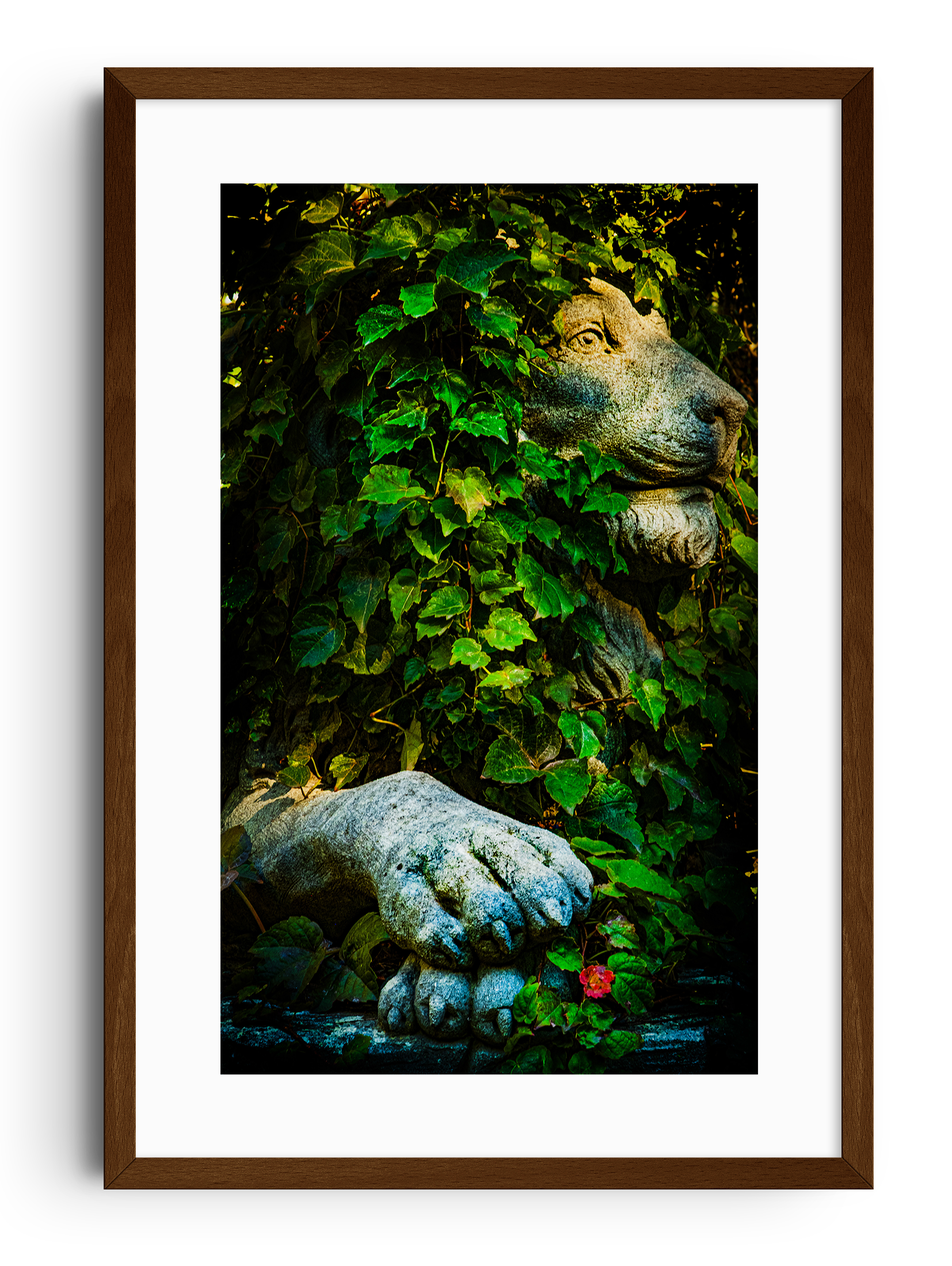 Discover The Secret Garden, a limited-edition fine art photography collection by Paolo Goltara, capturing the timeless beauty of Elizabeth Street Garden in New York City.