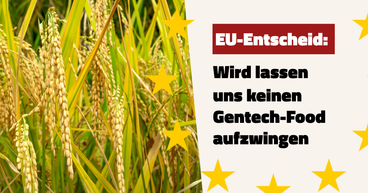 Les aliments génétiquement modifiés seront bientôt imposés aux consommateurs suisses