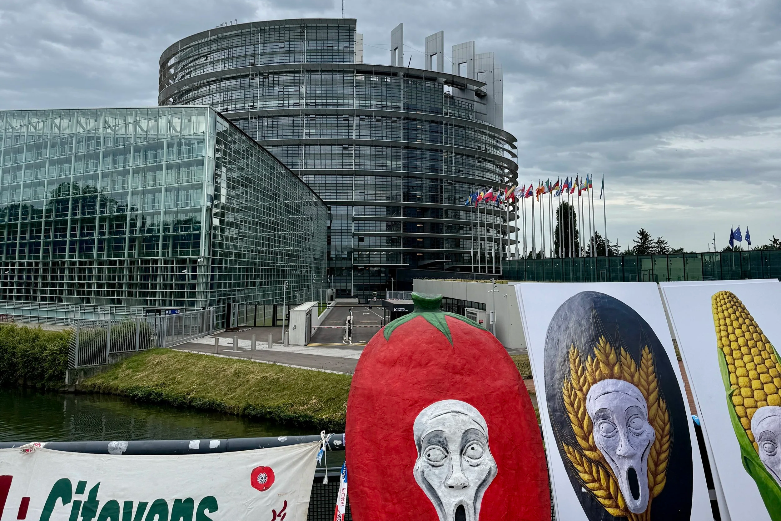 L'UE veut passer à la vitesse supérieure en matière d'OGM