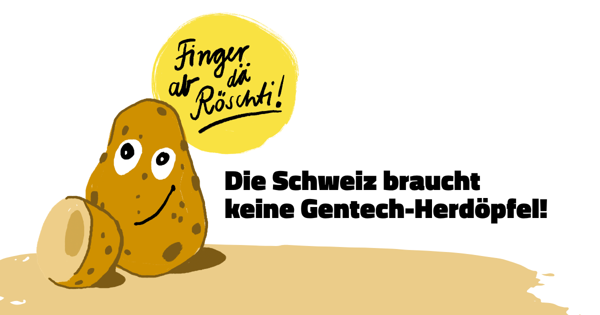 Die Schweiz ist stolz auf ihre gentechnikfreien Kartoffeln – doch wie lange noch?