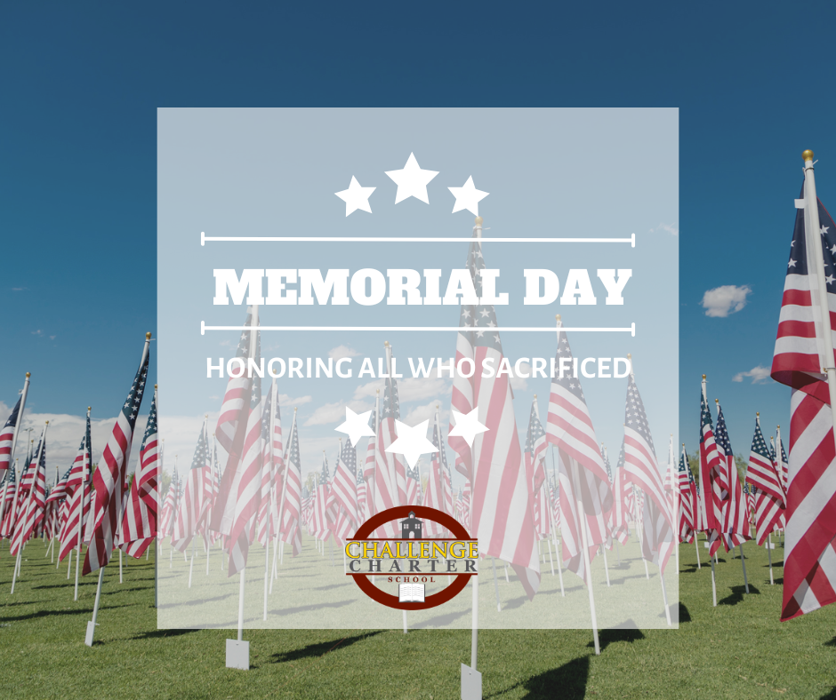 memorial day with flags marking fallen soldiers a field 