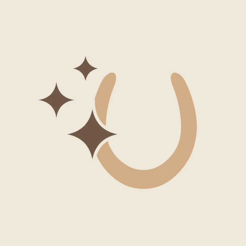 Soul Guided Equine Therapy