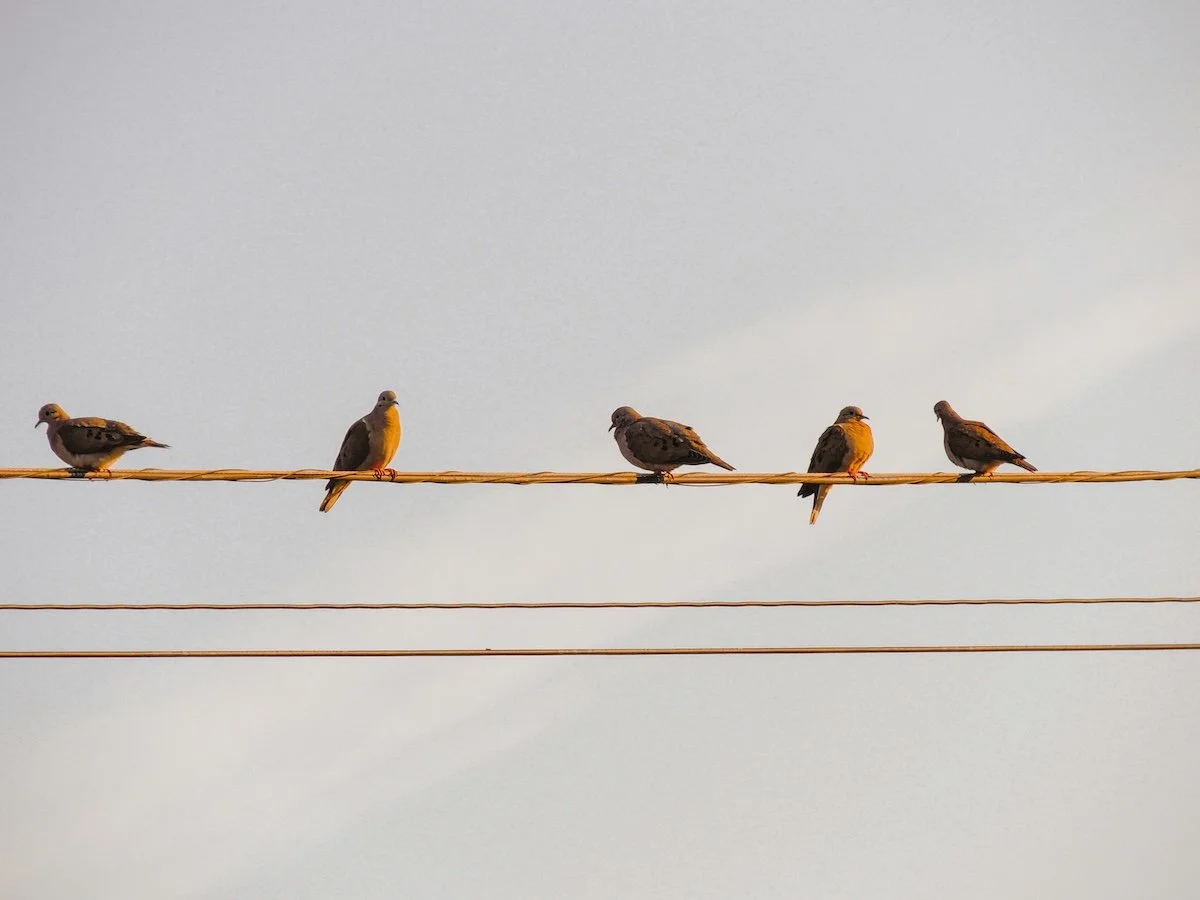 What Does Belonging Actually Look Like at Work?