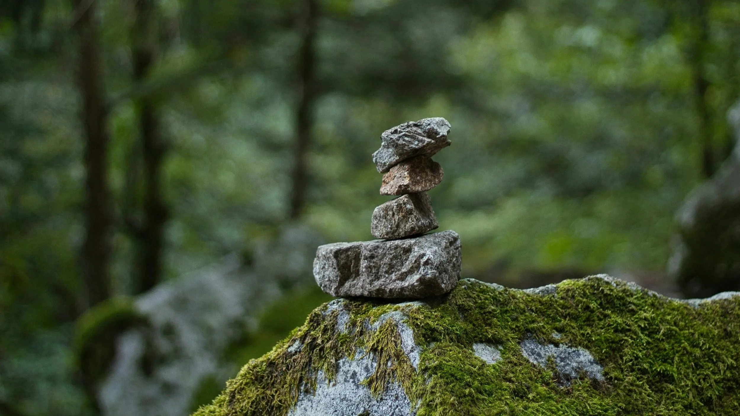 Cultivating Steadiness in a Rapidly Changing Workplace