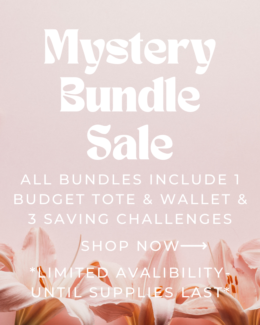Mystery Bundle