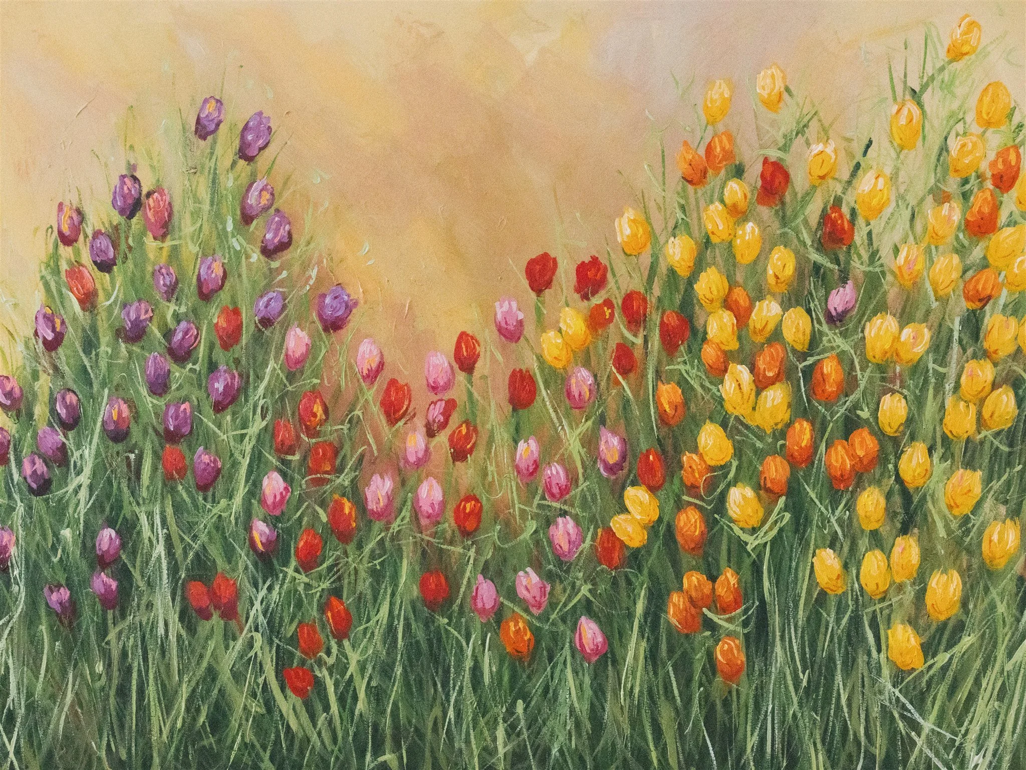 Erin Wilson spring april-19.jpg