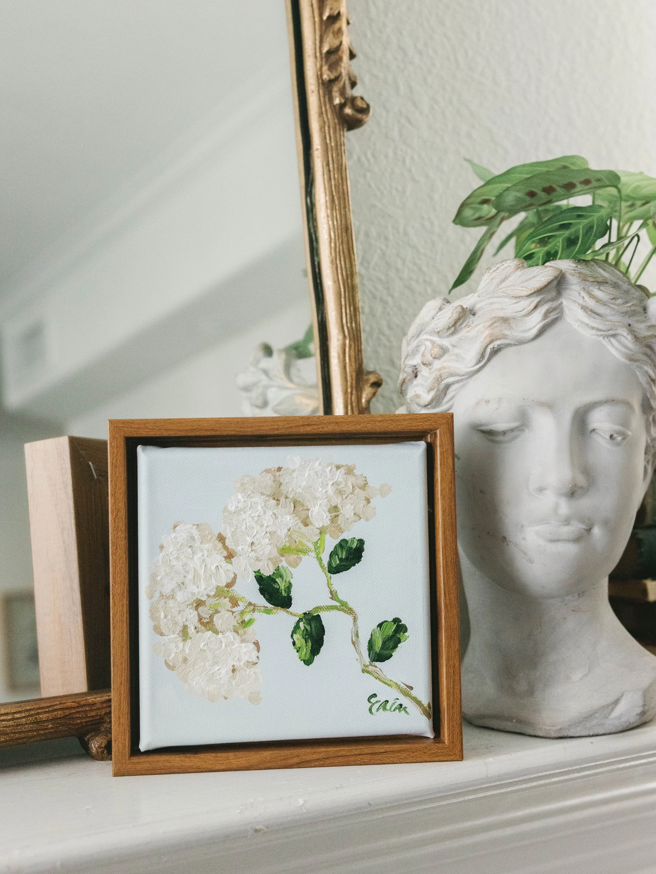 Hydrangea Baby // 6x6 Framed Original