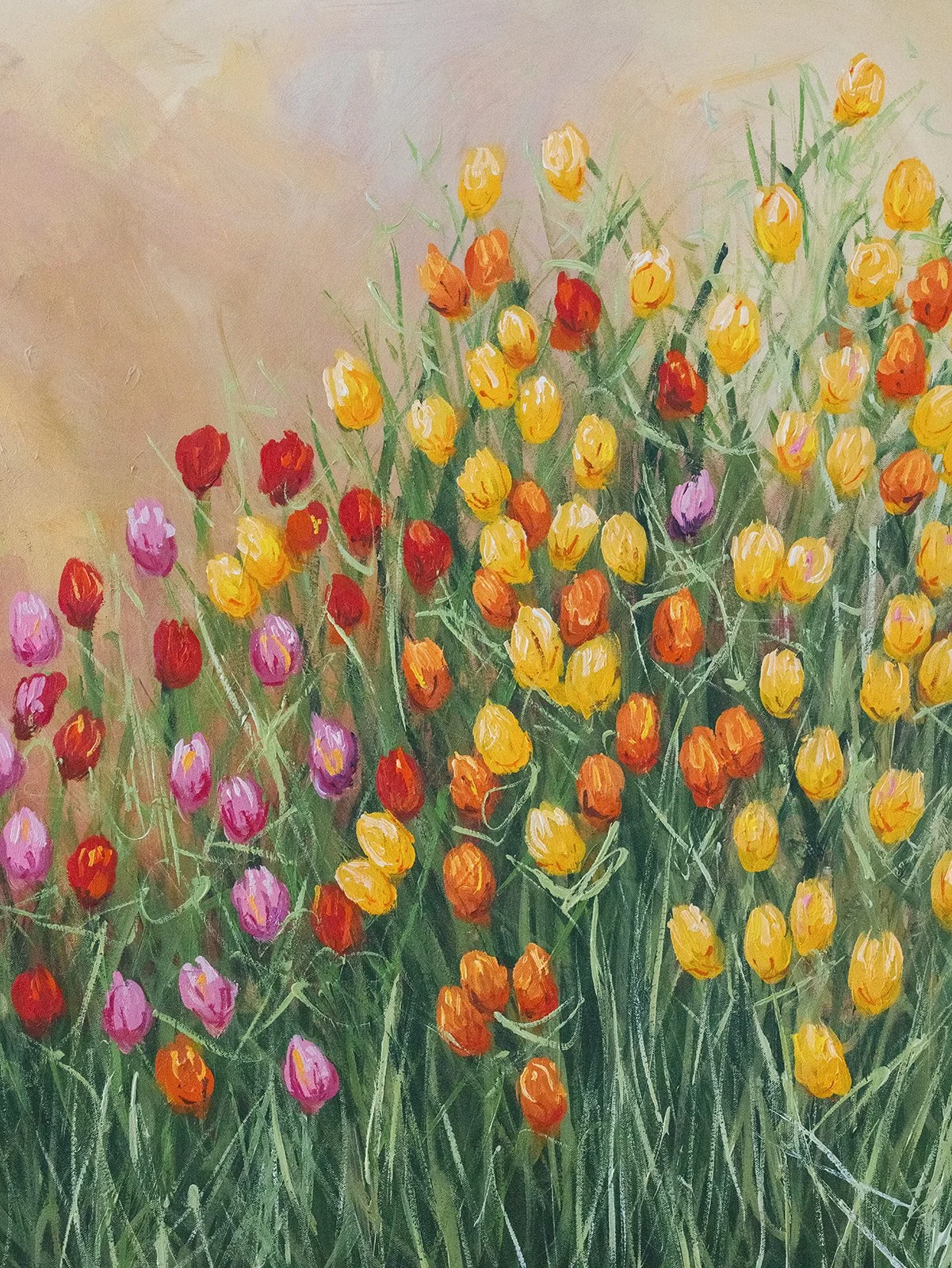 Erin Wilson spring april-22.jpg