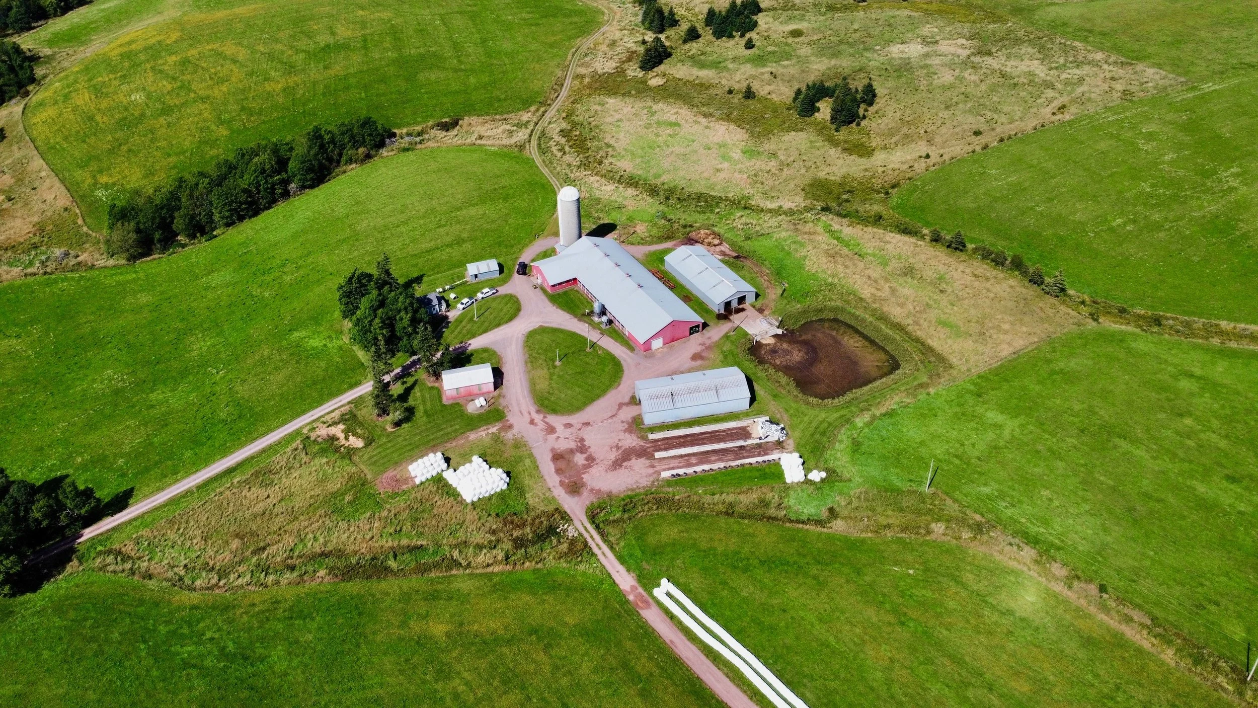 dji_fly_20260912_135552_655_1789232469123_photo_optimized.JPG