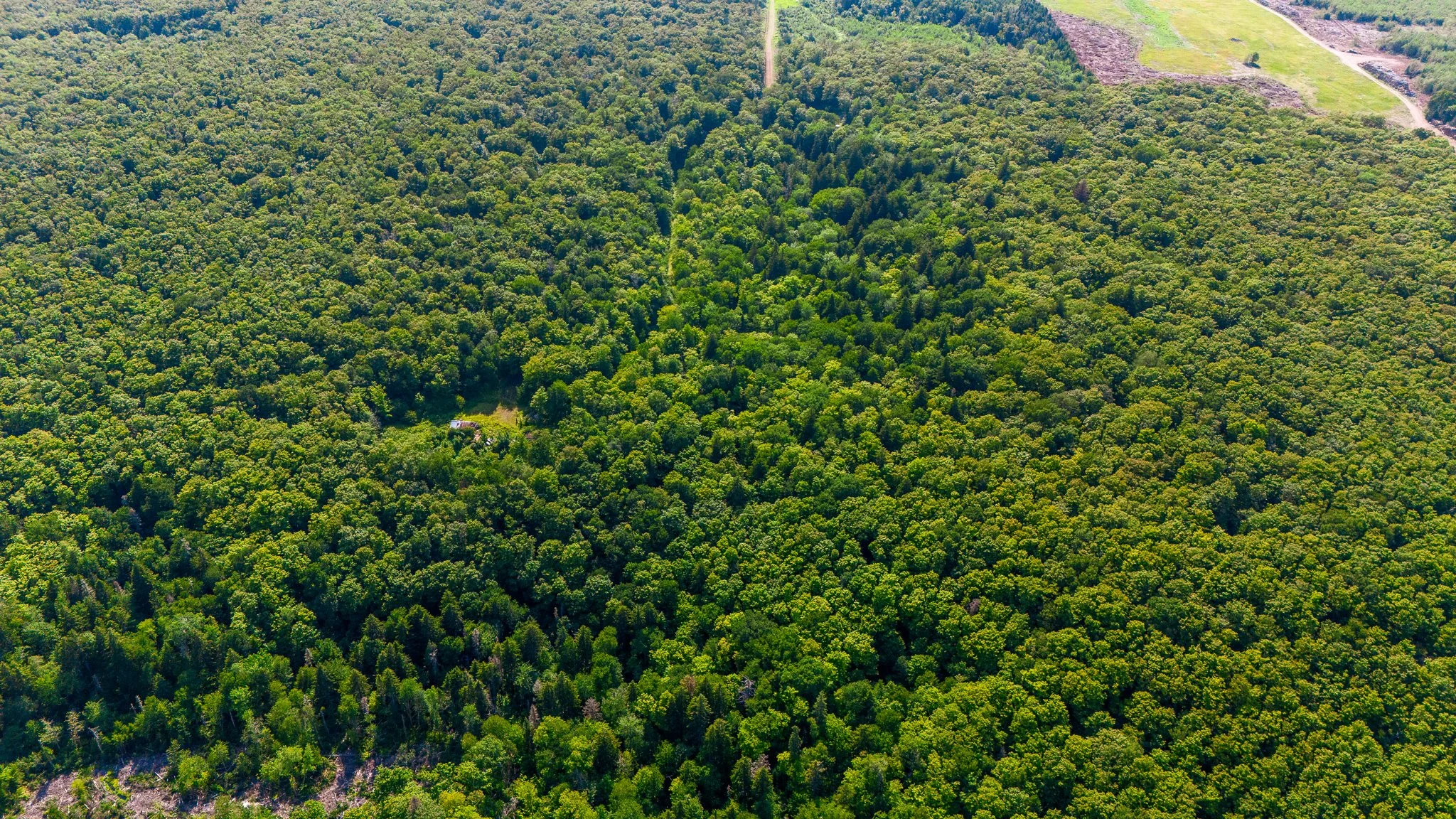 DJI_20260805152219_0020_D.jpg