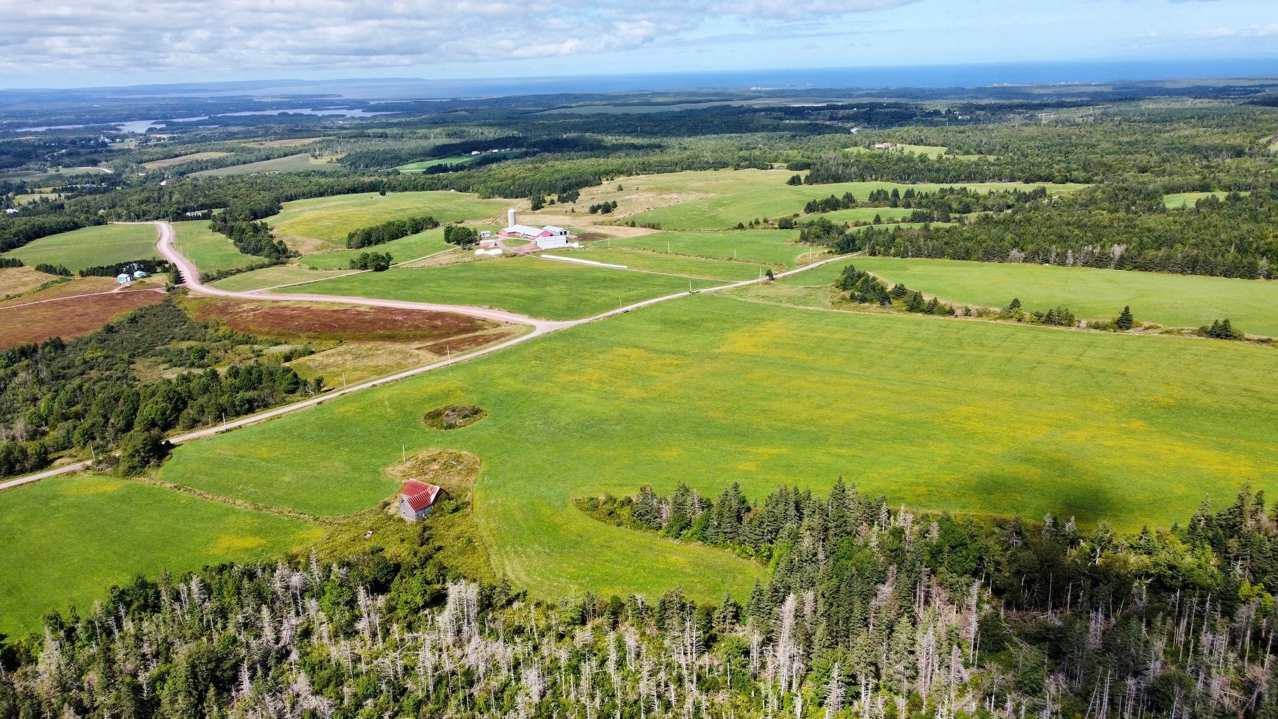 dji_fly_20260912_135406_653_1789232472369_photo_optimized.JPG
