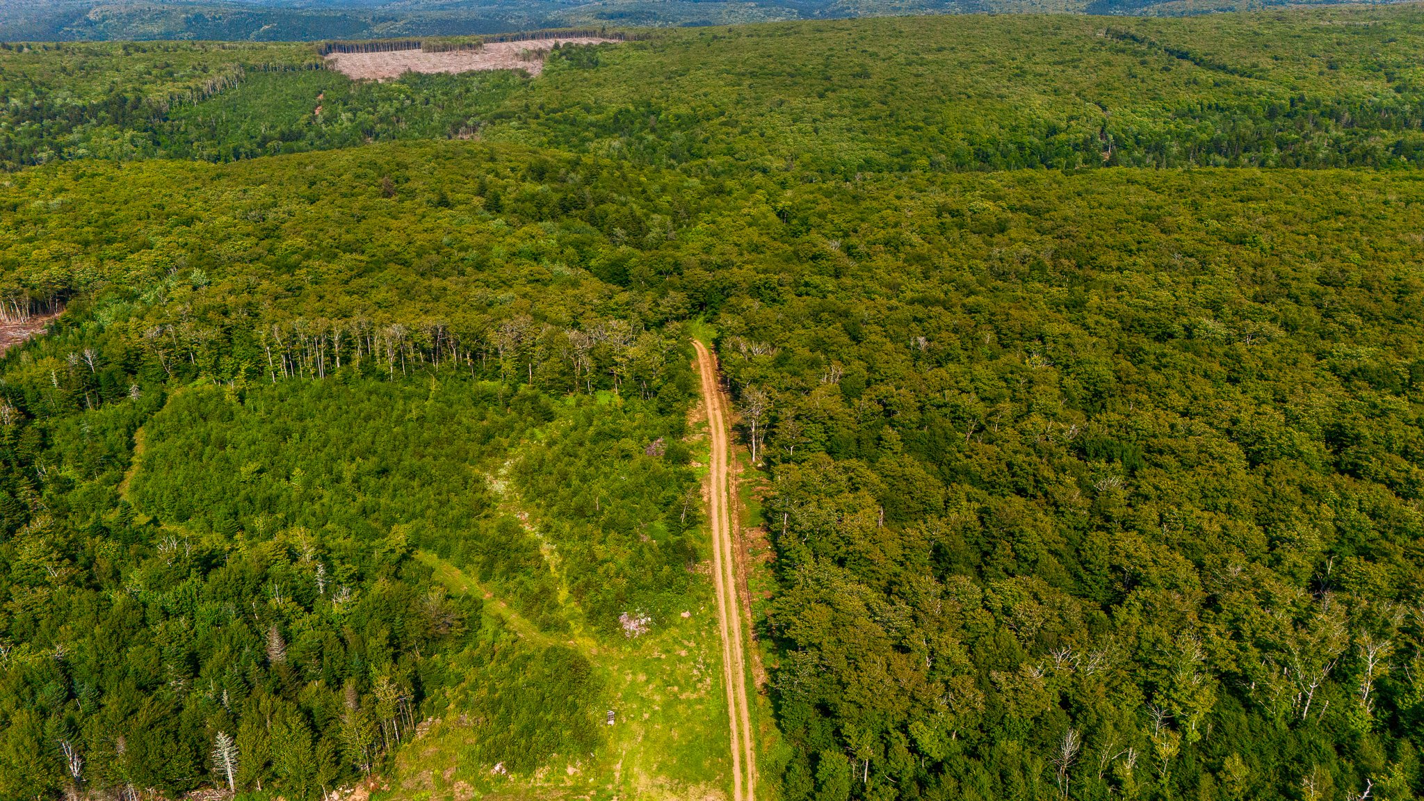 DJI_20260805153037_0039_D.jpg