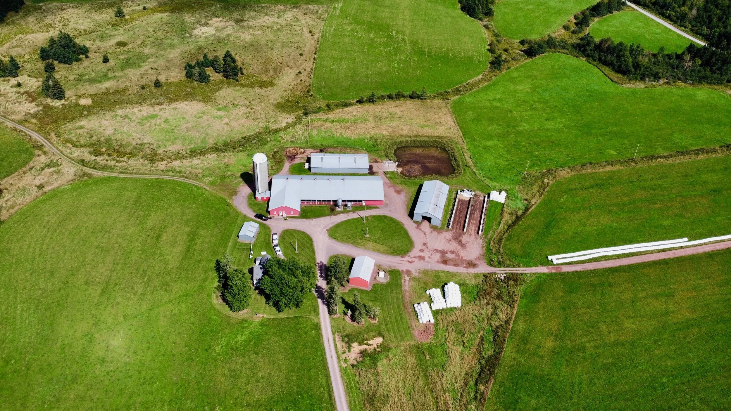 dji_fly_20260912_135614_656_1789232467651_photo_optimized.JPG