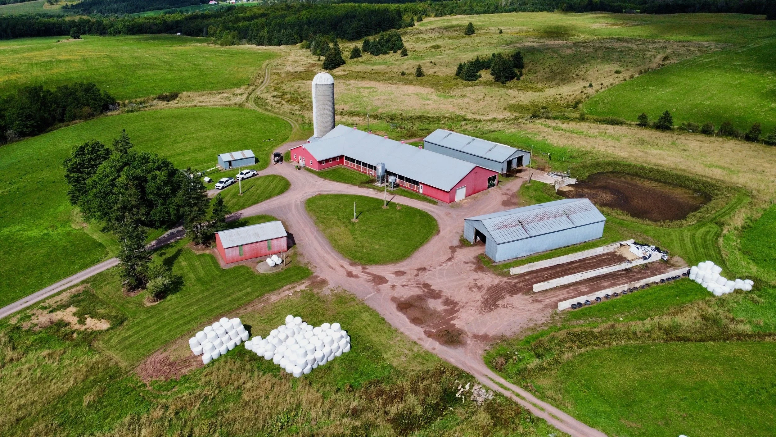 dji_fly_20260912_135846_661_1789232459838_photo_optimized.JPG