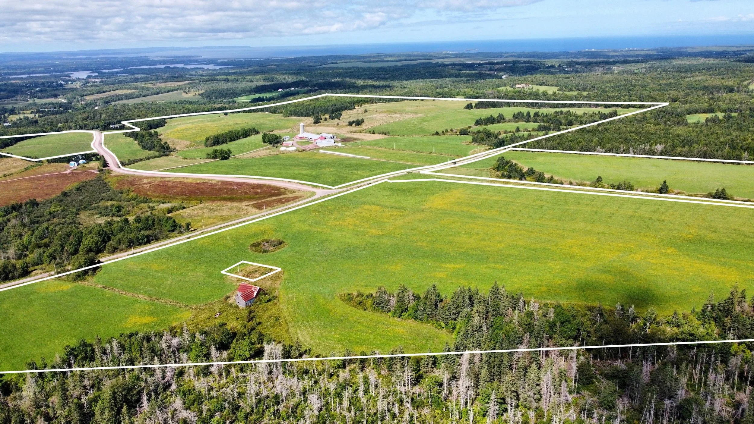 dji_fly_20260912_135406_653_1789232472369_photo_optimized.JPG