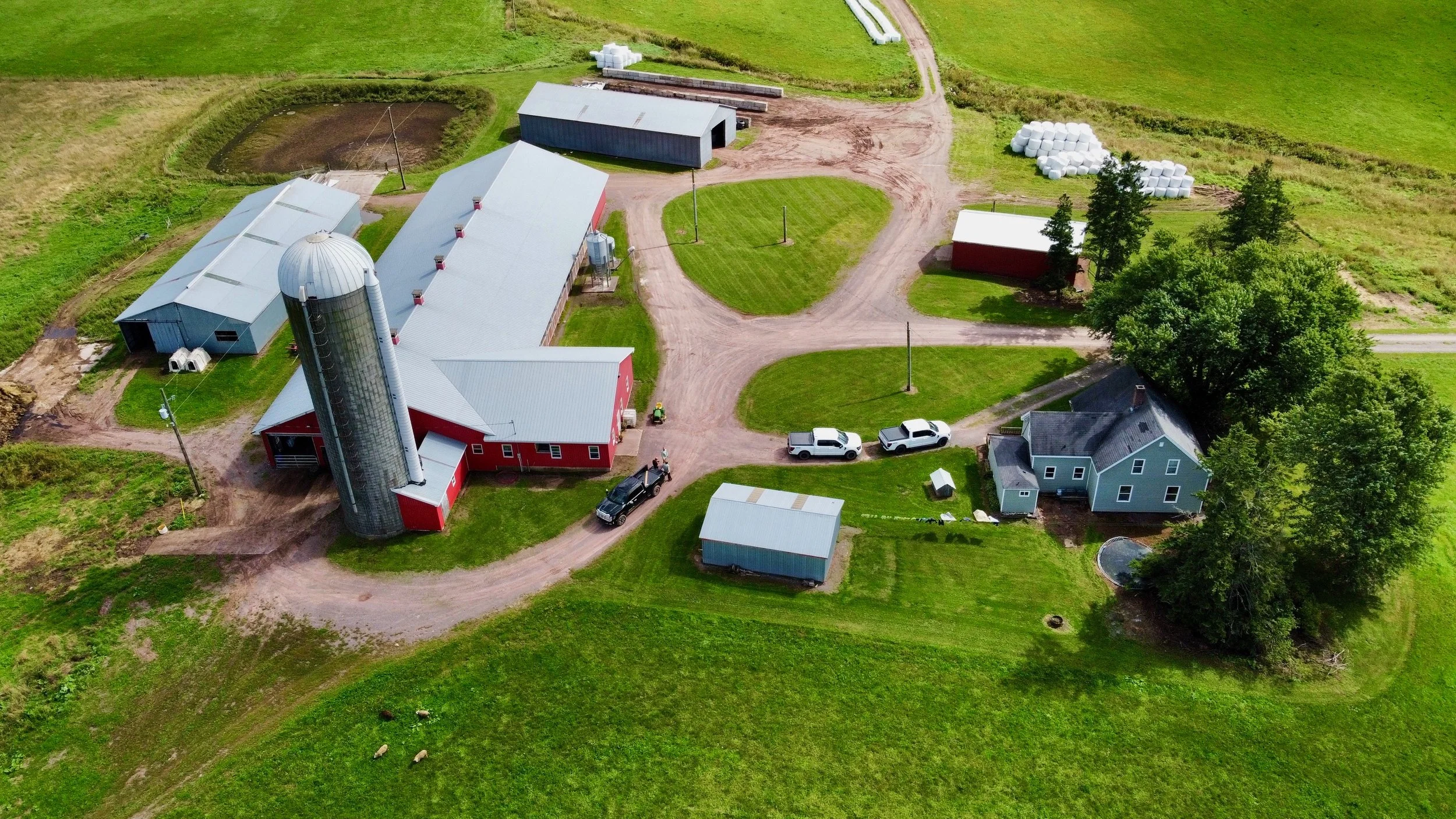 dji_fly_20260912_135946_663_1789232456936_photo_optimized.JPG