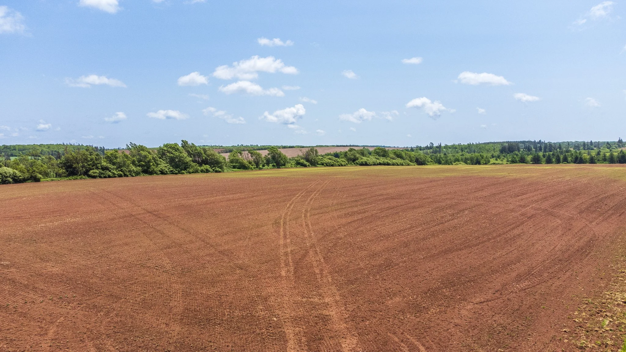 DJI_0961.jpg