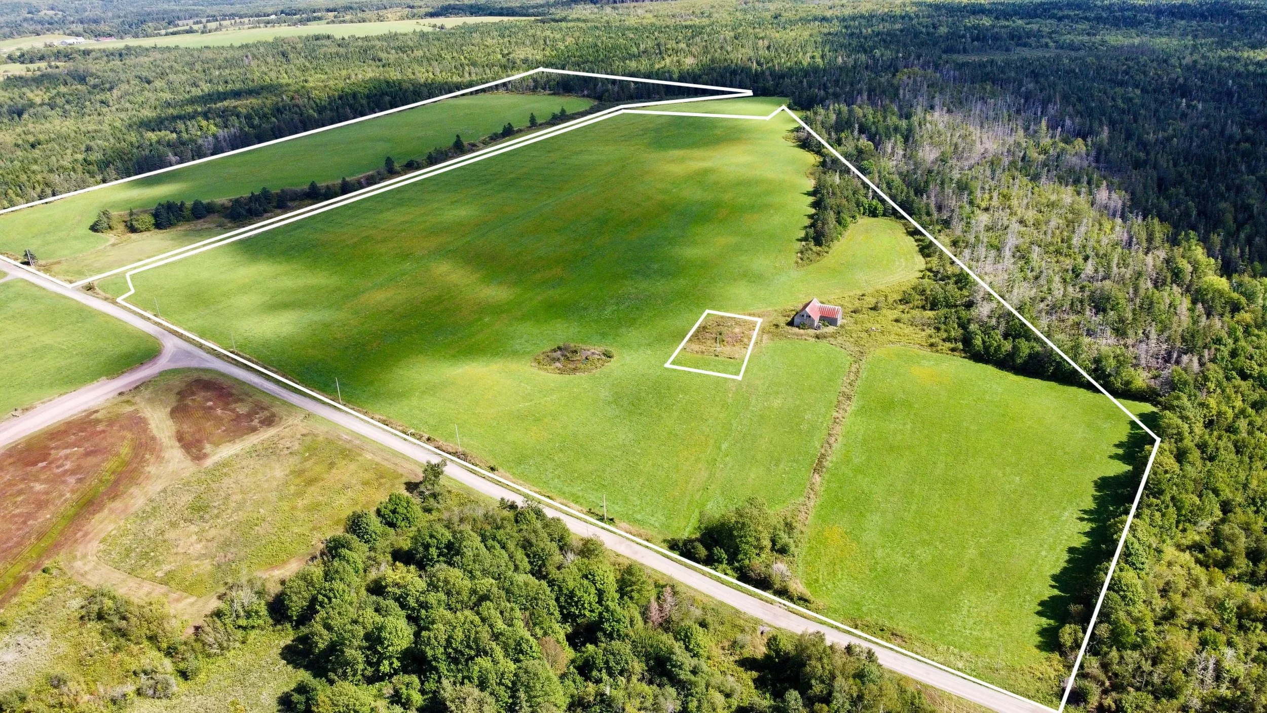 dji_fly_20260912_135310_651_1789232475296_photo_optimized.JPG