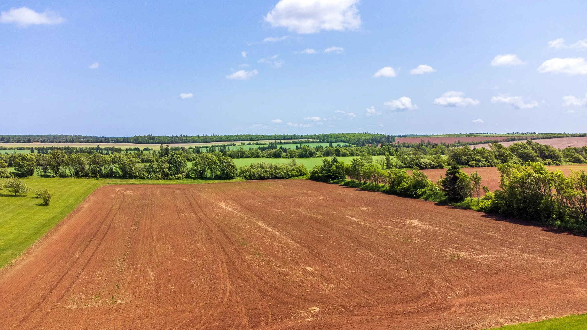 DJI_0956-2.jpg