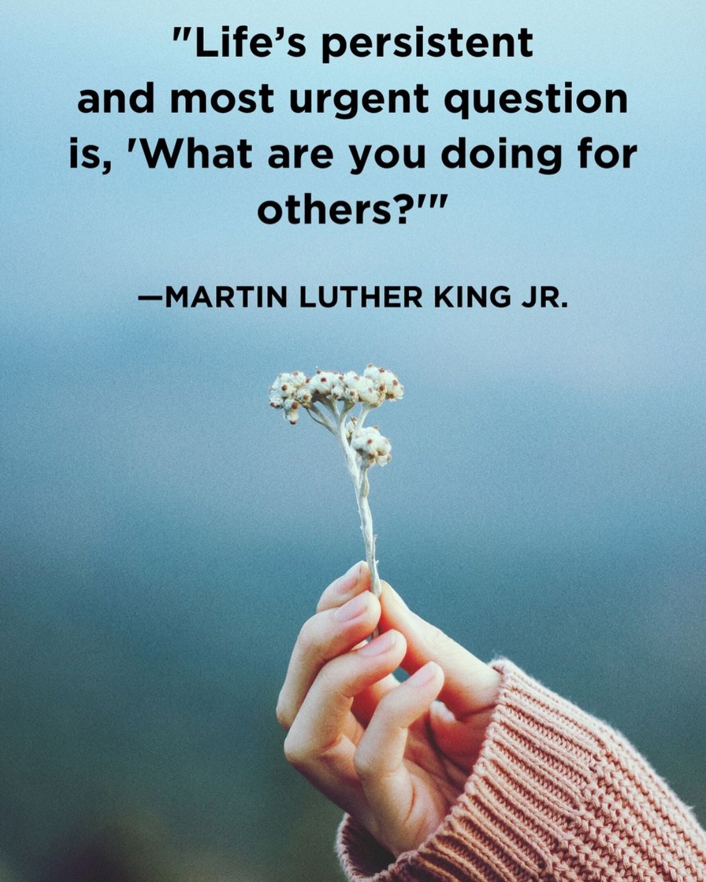 Life&rsquo;s persistent and most urgent question is, &lsquo;What are you doing for others?&rsquo;&rdquo;

-MLK Jr.

If you are looking for an answer to this question I. Your life, tap the link in our bio to partner with us!