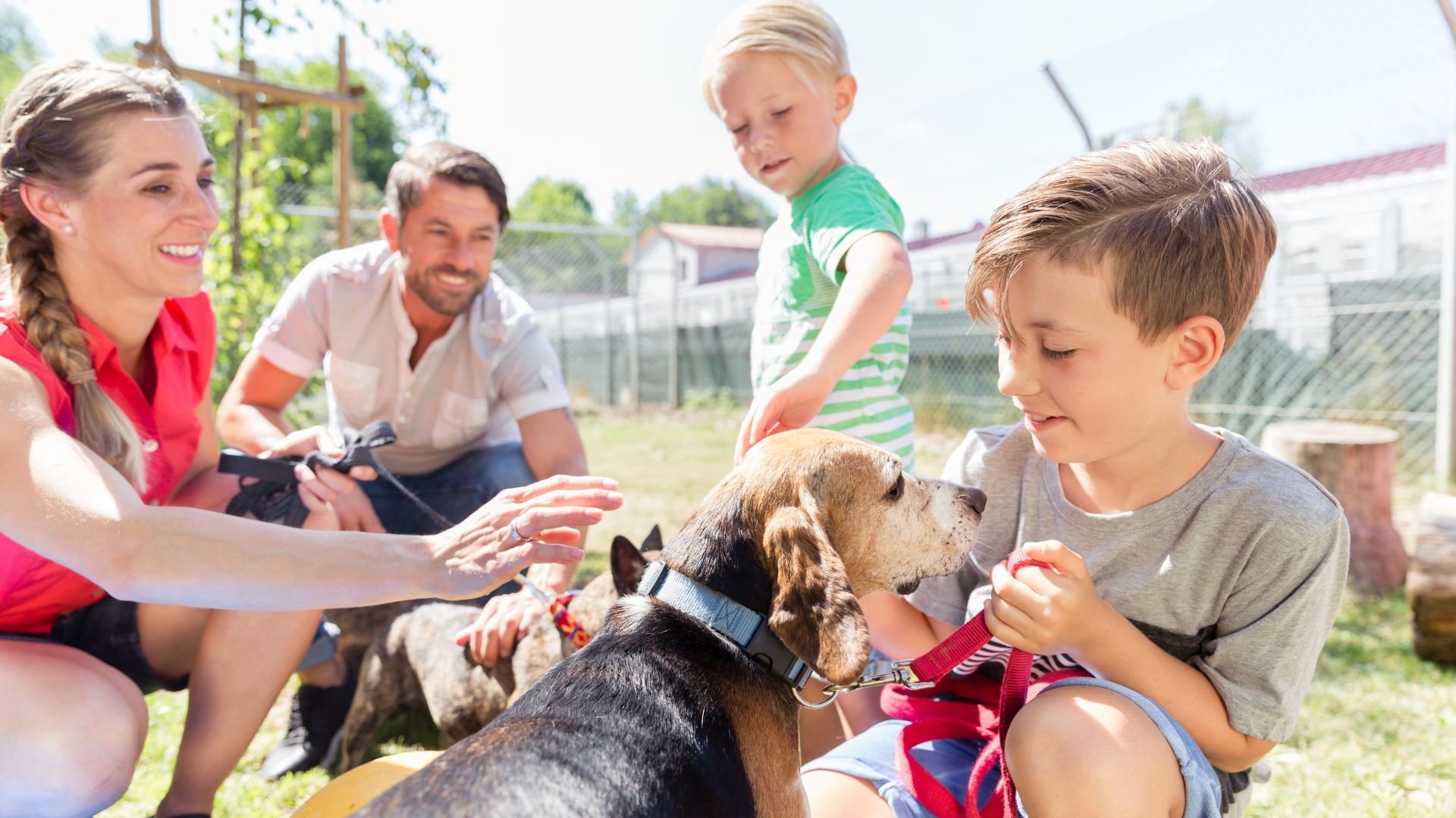 Hinsdale Humane Society Adoption Event
