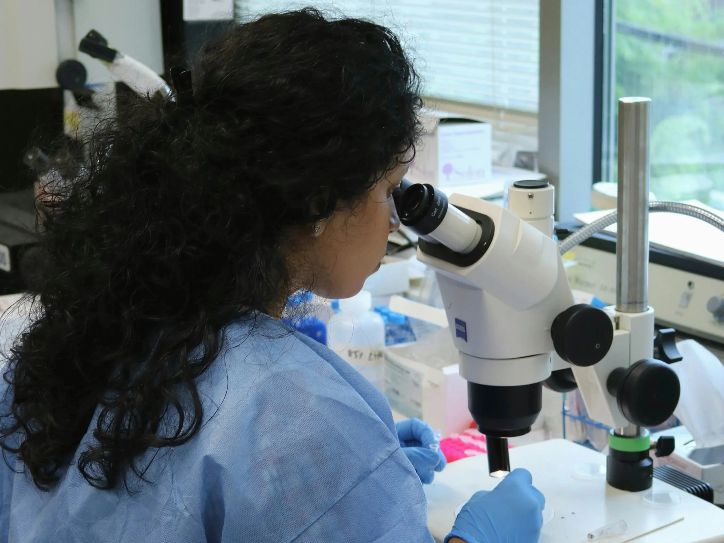 What’s Next in Women’s Health? Emerging Trends in Nutraceutical Research: The Estrobolome